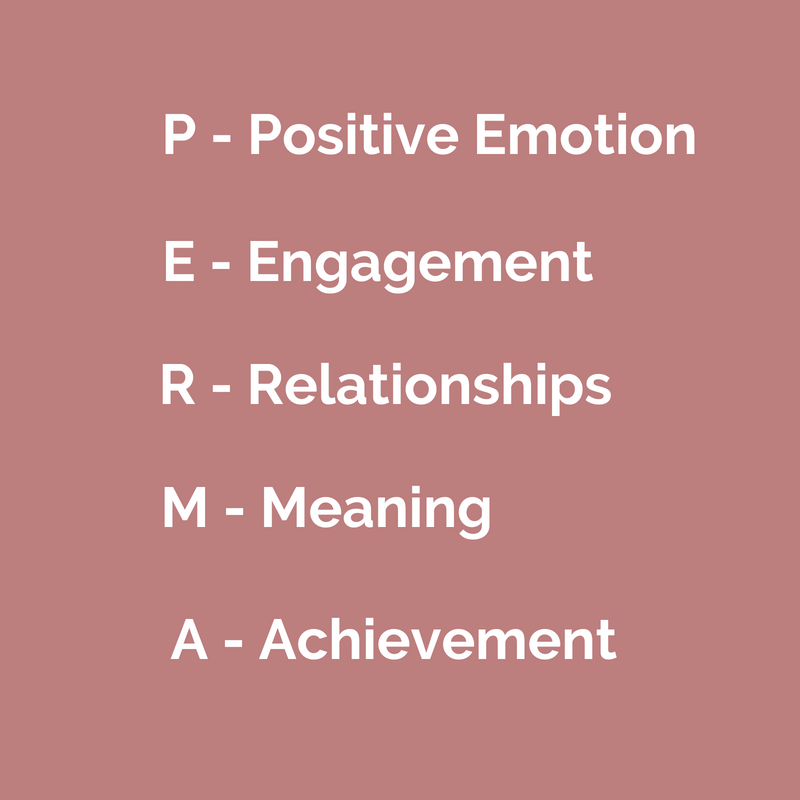 P- (positive emotion-2.png