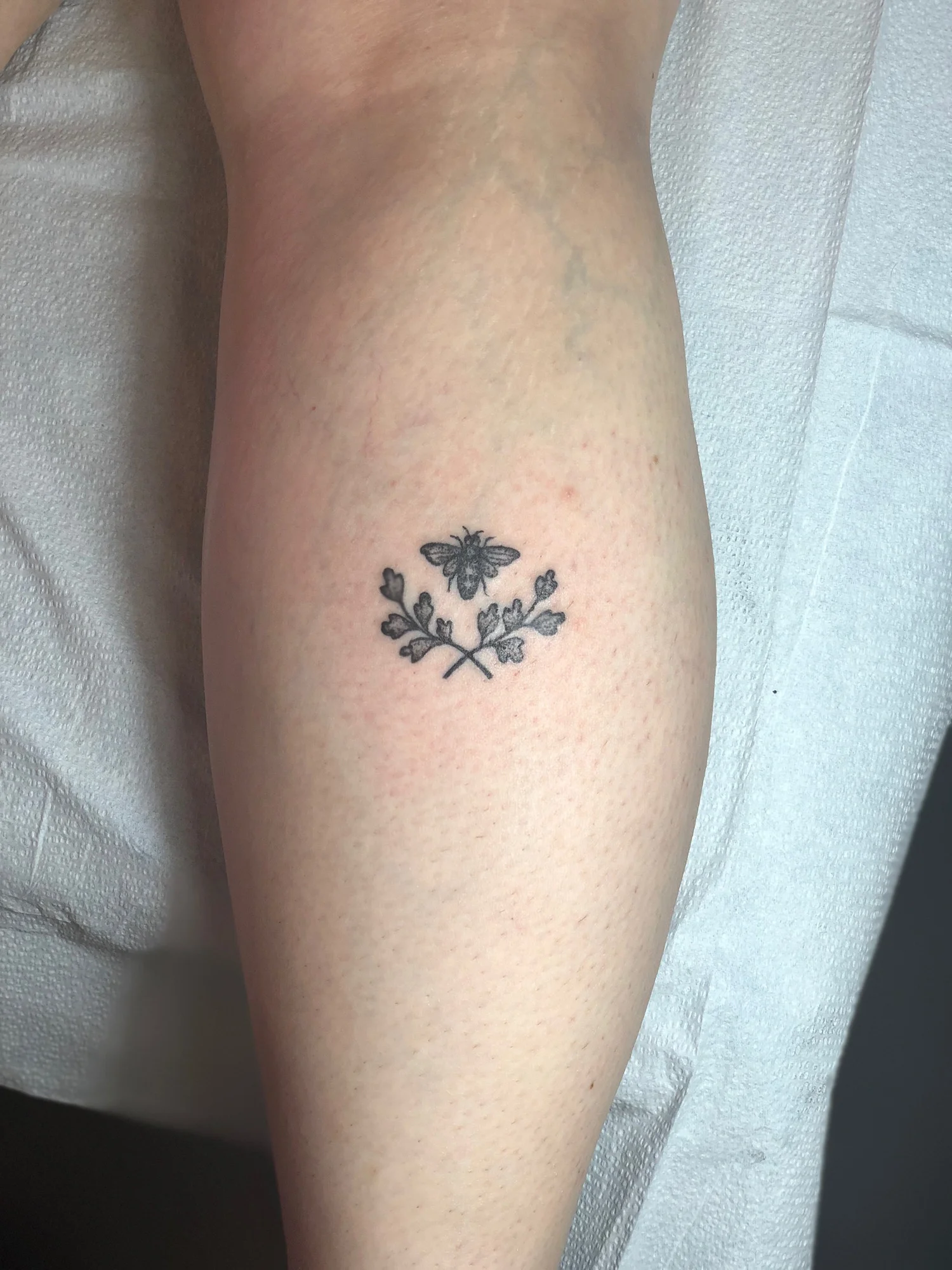bee leg.jpg