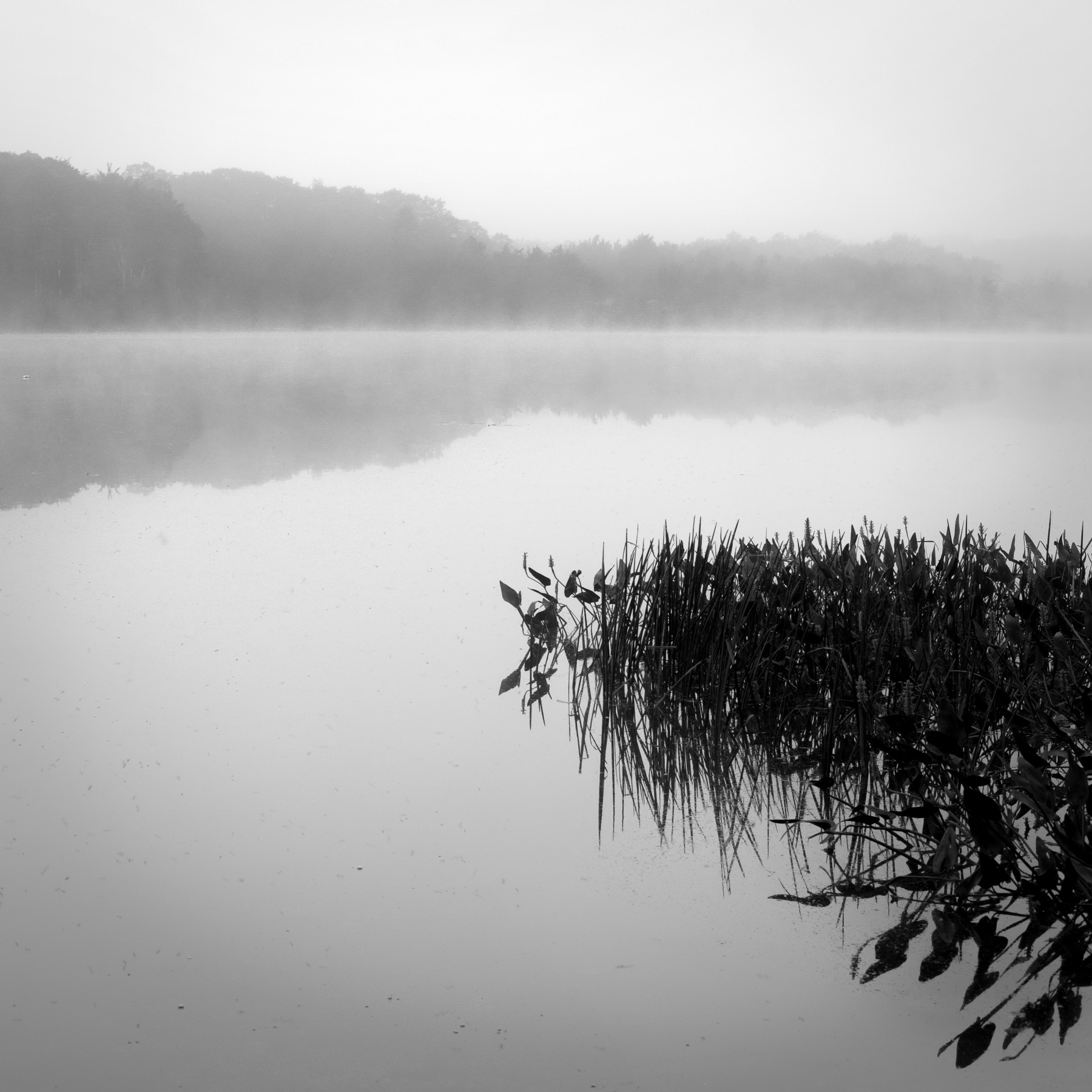 MOUNTAINS & RIVERS: NORTHEAST