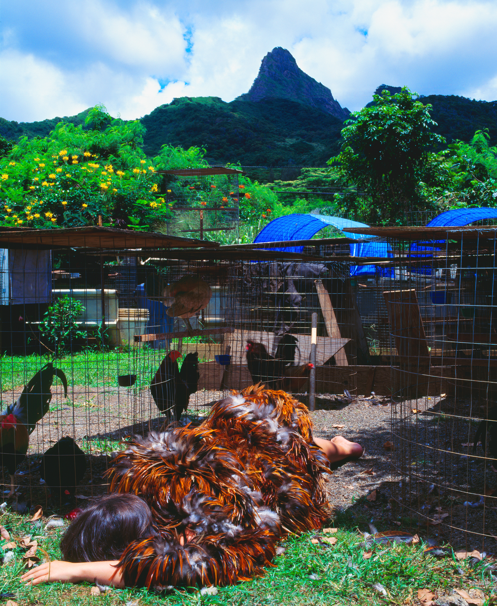 Cloaked by Cockfeathers / Hulu Kapa (Feather Covering)