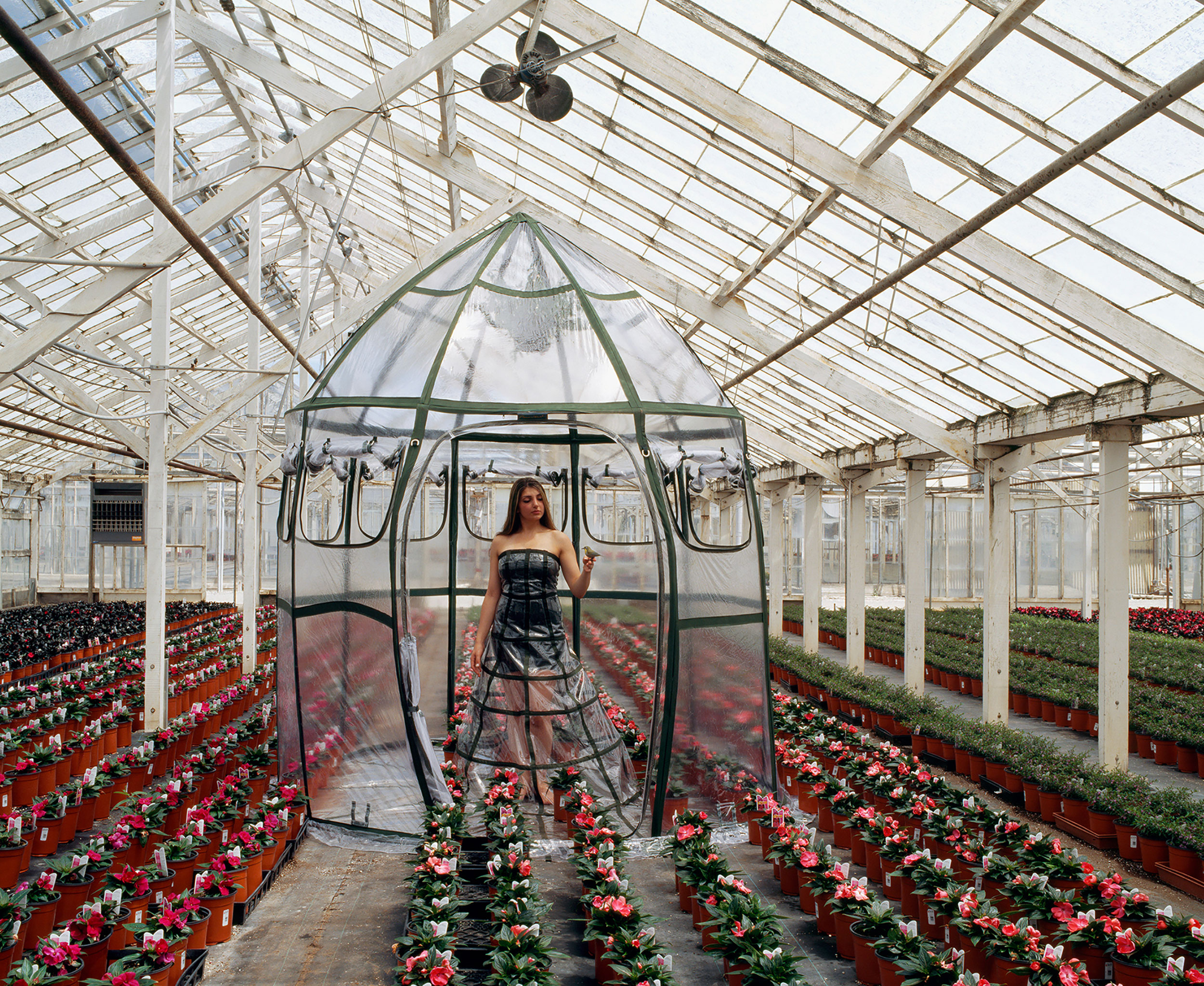 GREENHOUSE DRESS TENT