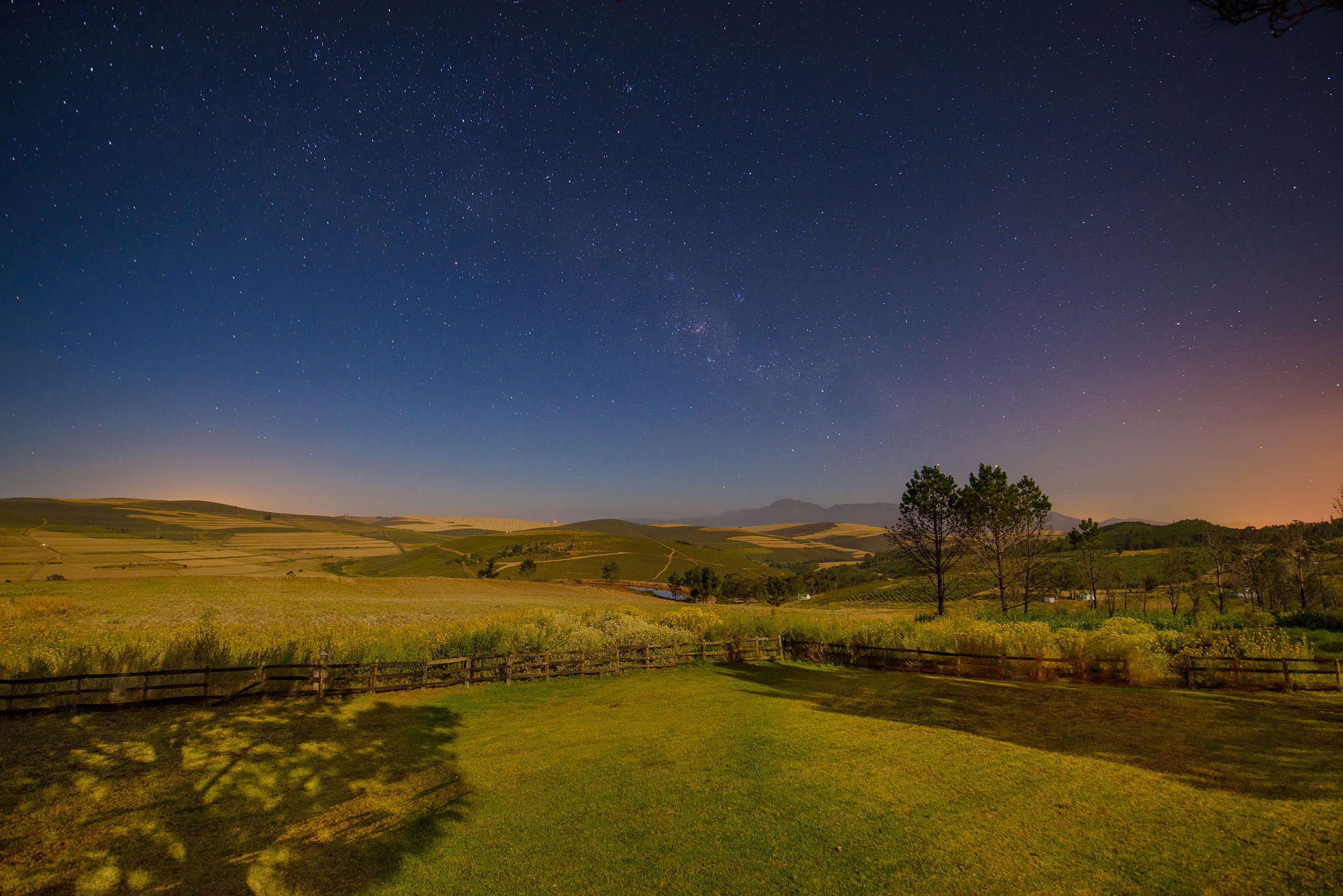 Milky Way Over the Fynbos