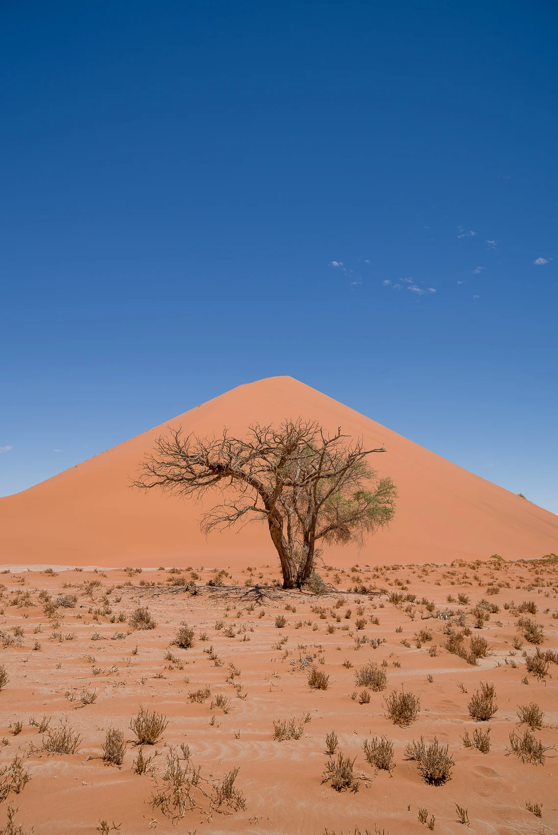 Dune 45. Namib Naukloft Park.