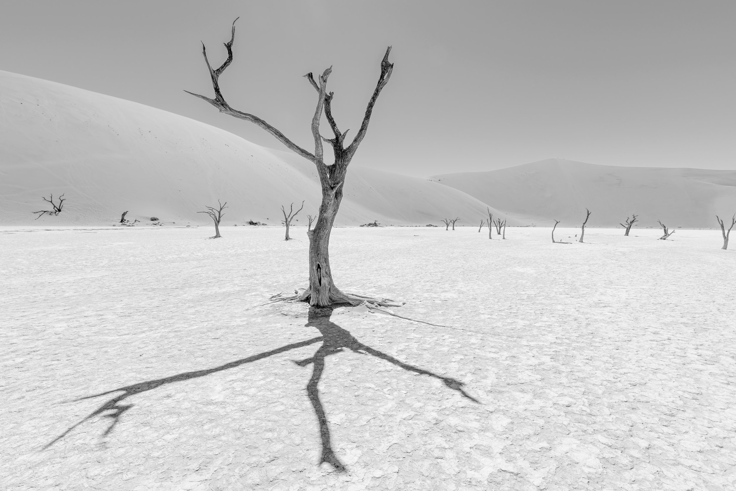 Deadvlei