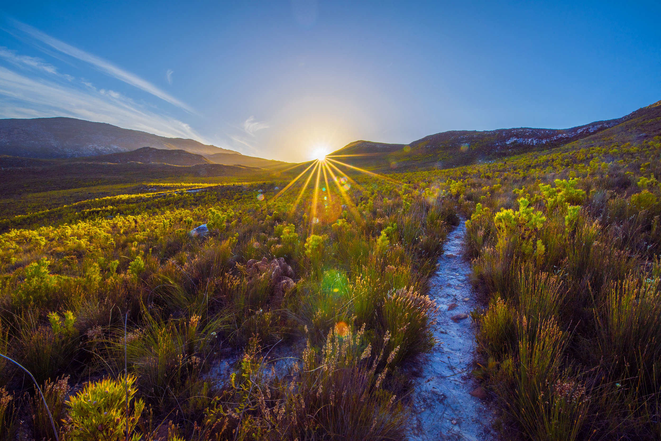 A Sunset Walk