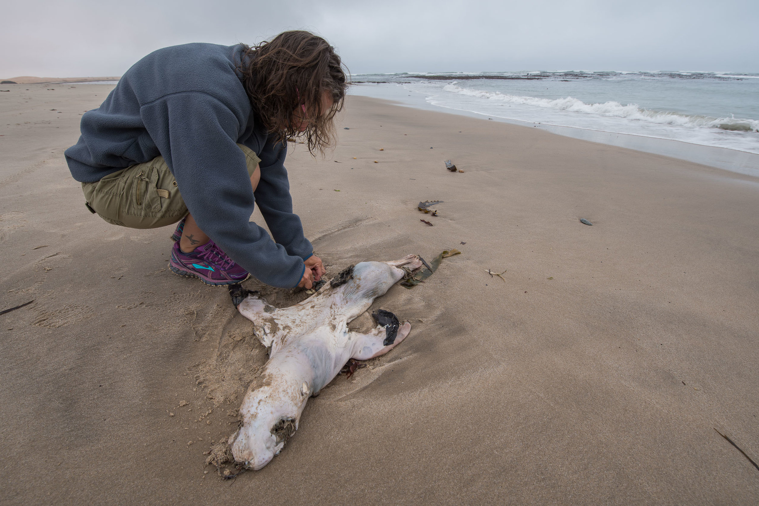 Dead Babies on the Beach