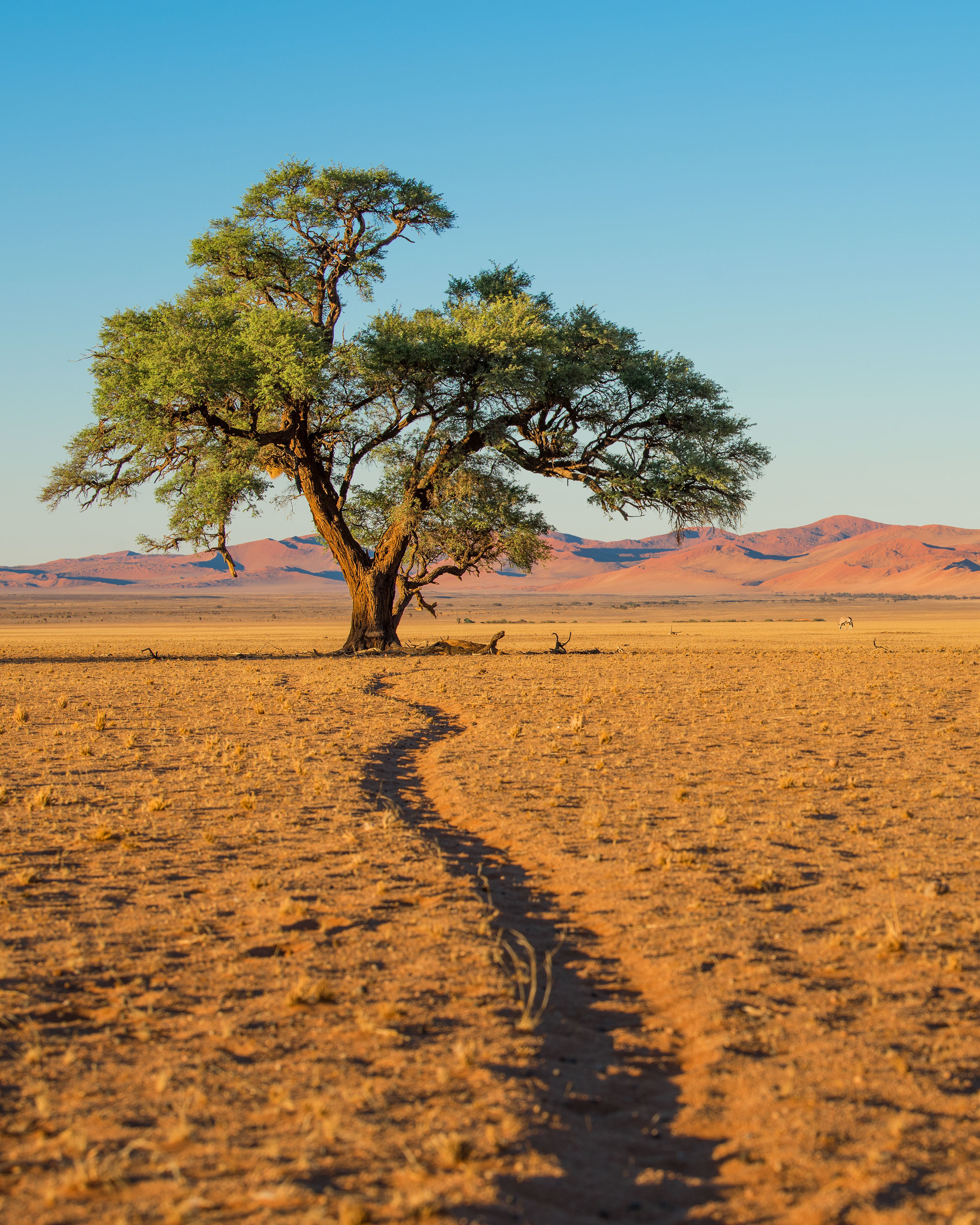 Elim Dunes