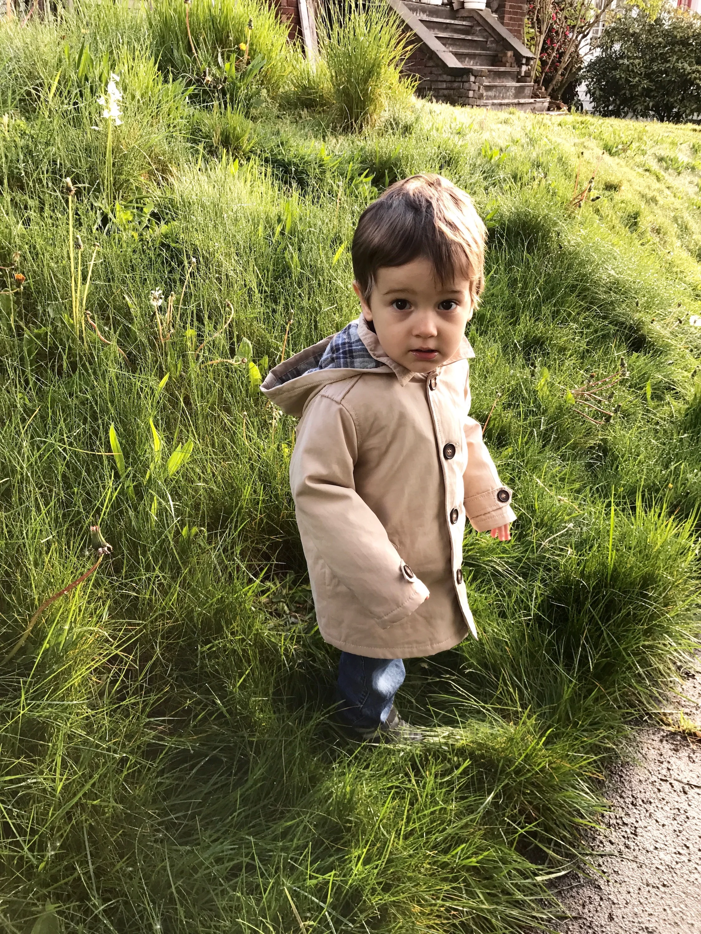 Long Grass.jpg