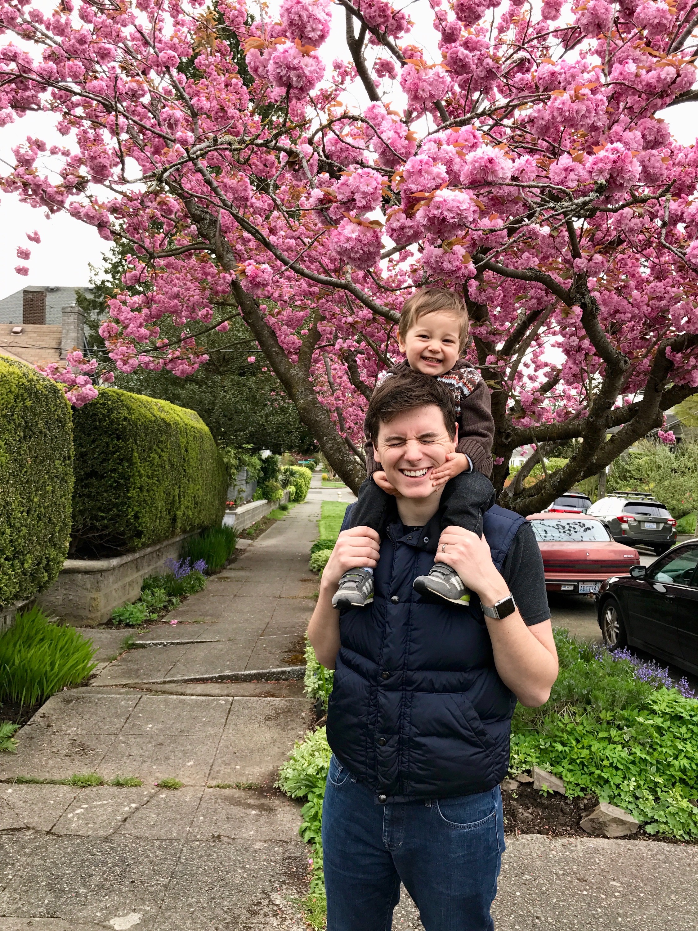 Cherry Tree.jpg