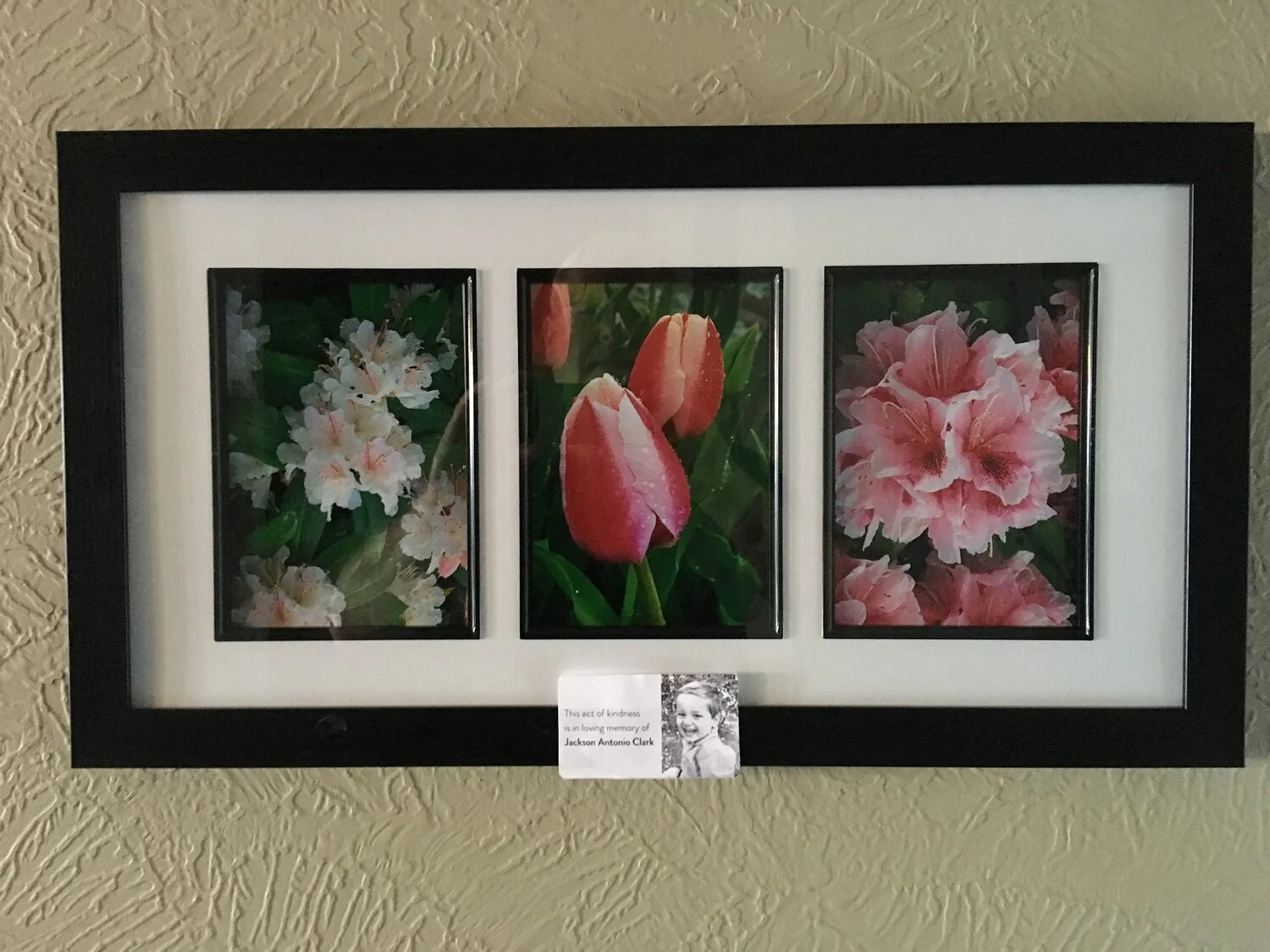 Emma P &amp; her dad