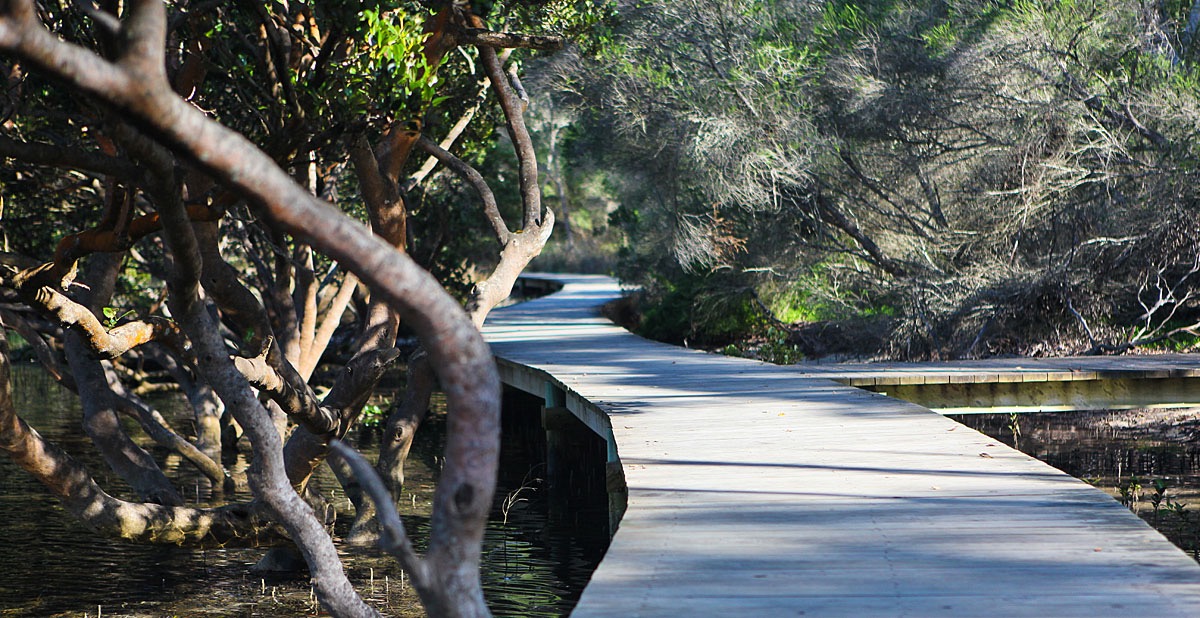 Merimbula-boardwalk.jpg