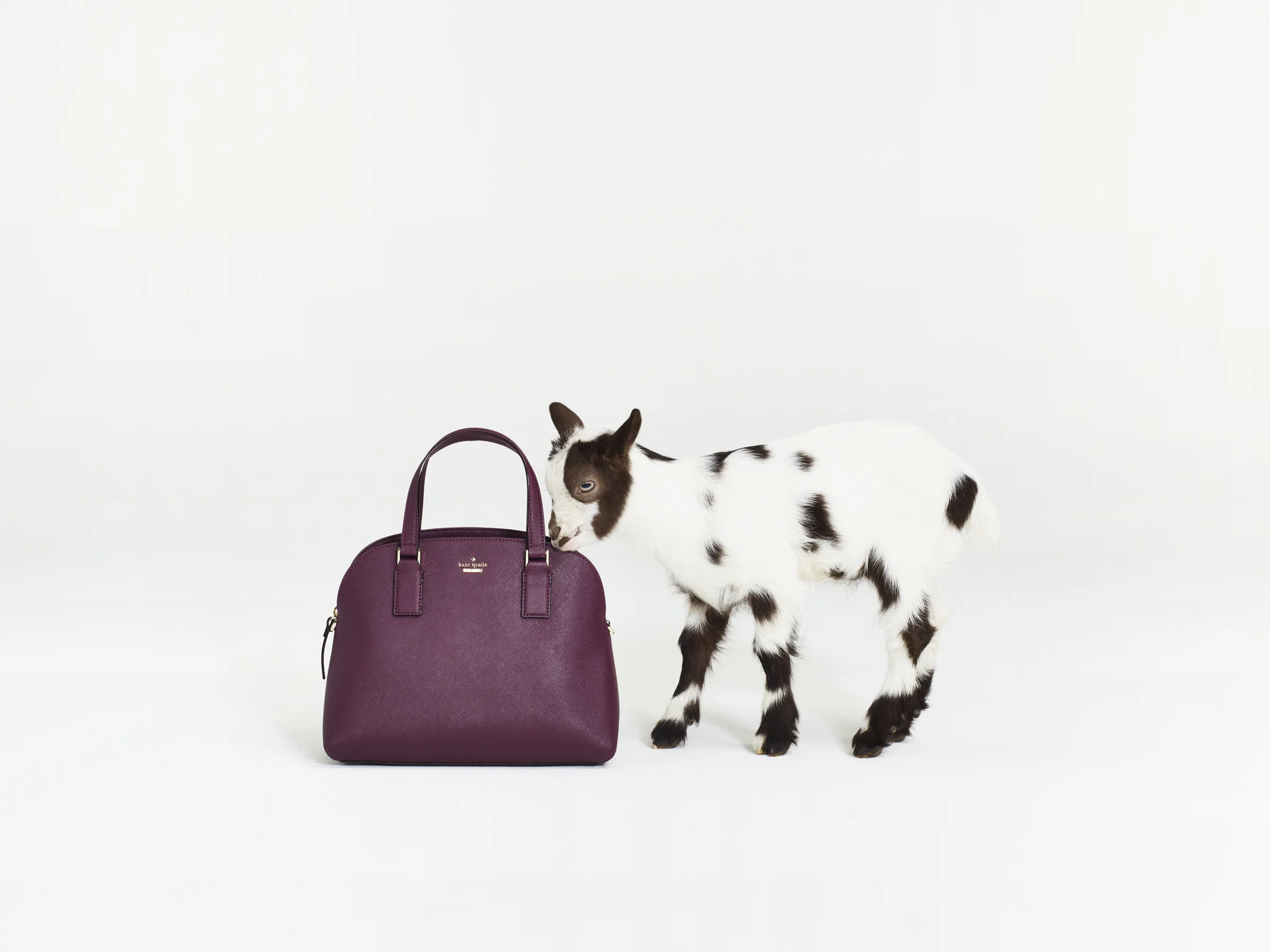 we herd you've got a lot going on: the cameron street lottie handbag | kate spade new york