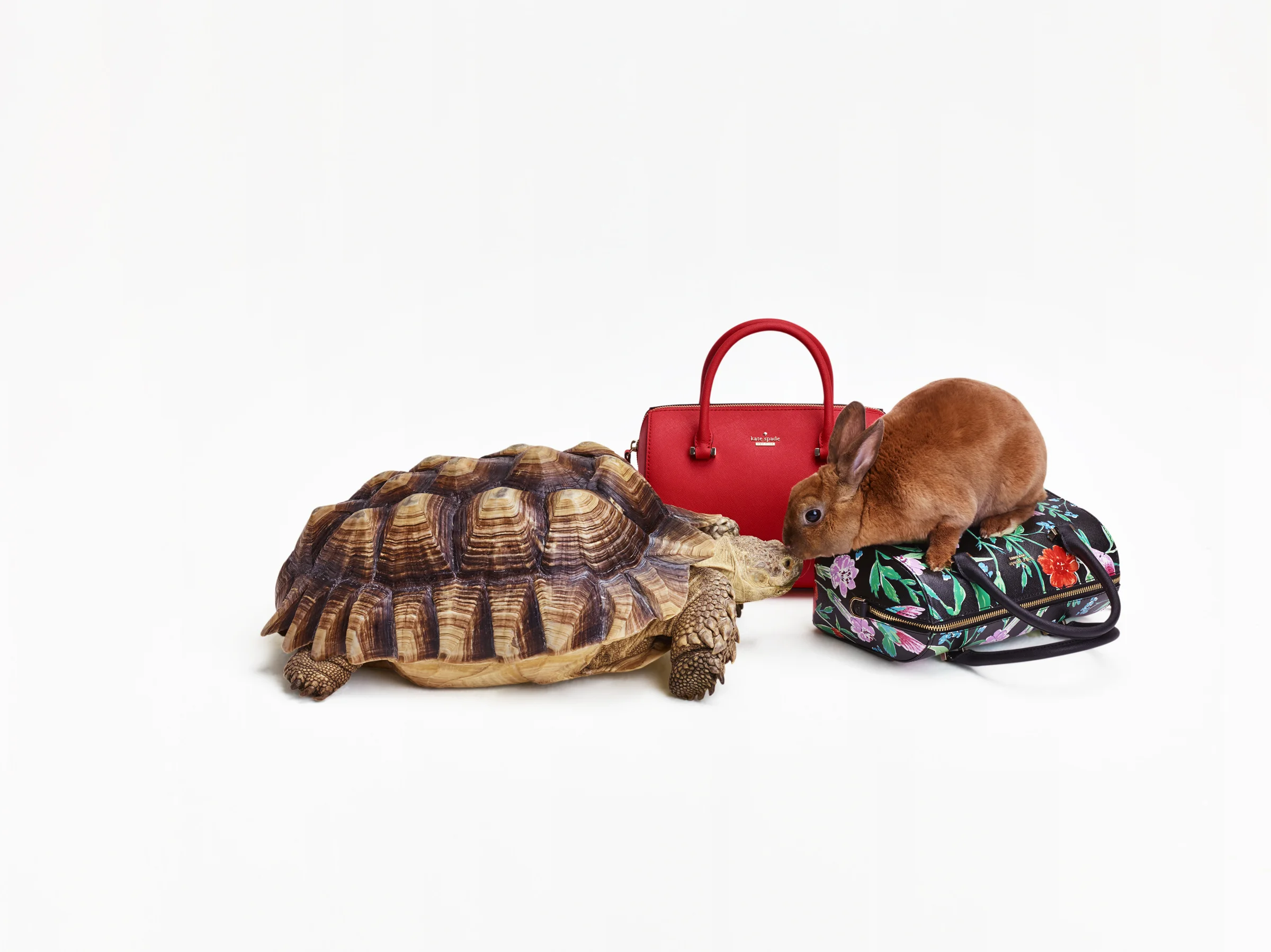 for life in the fast lane: the cameron street large lane | kate spade new york
