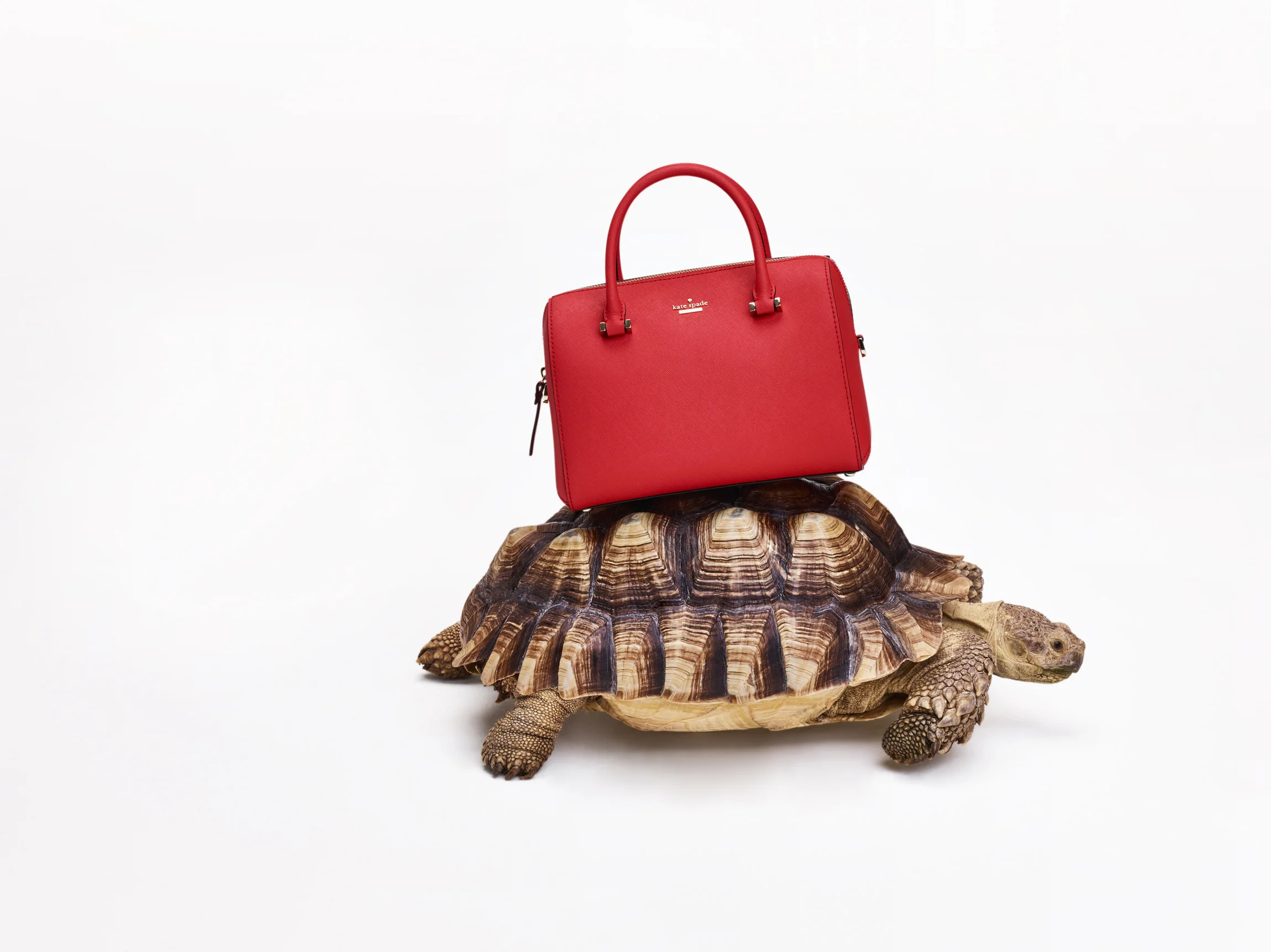 03_TWO LANE BAGS-114-no-bunny.jpg