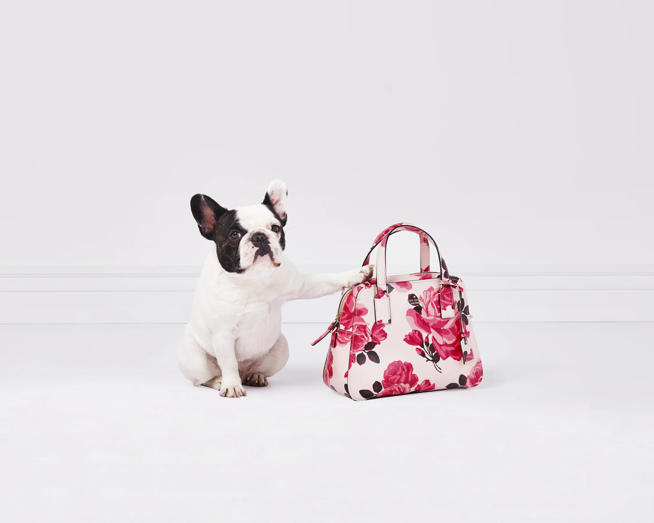 the cameron street collection: stick with me, babe. | kate spade new york