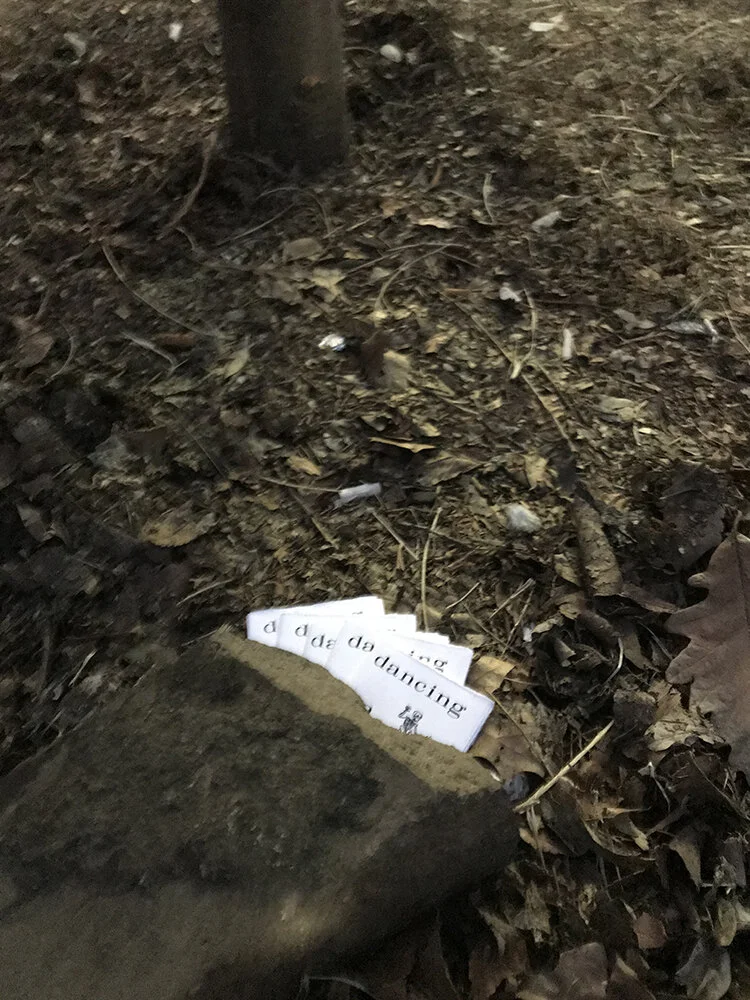 A few copies under a rock, unprotected. A few days later it rained in New York, likely destroying the books if they hadn’t been thrown away or taken by then. I am uncertain of their fate.