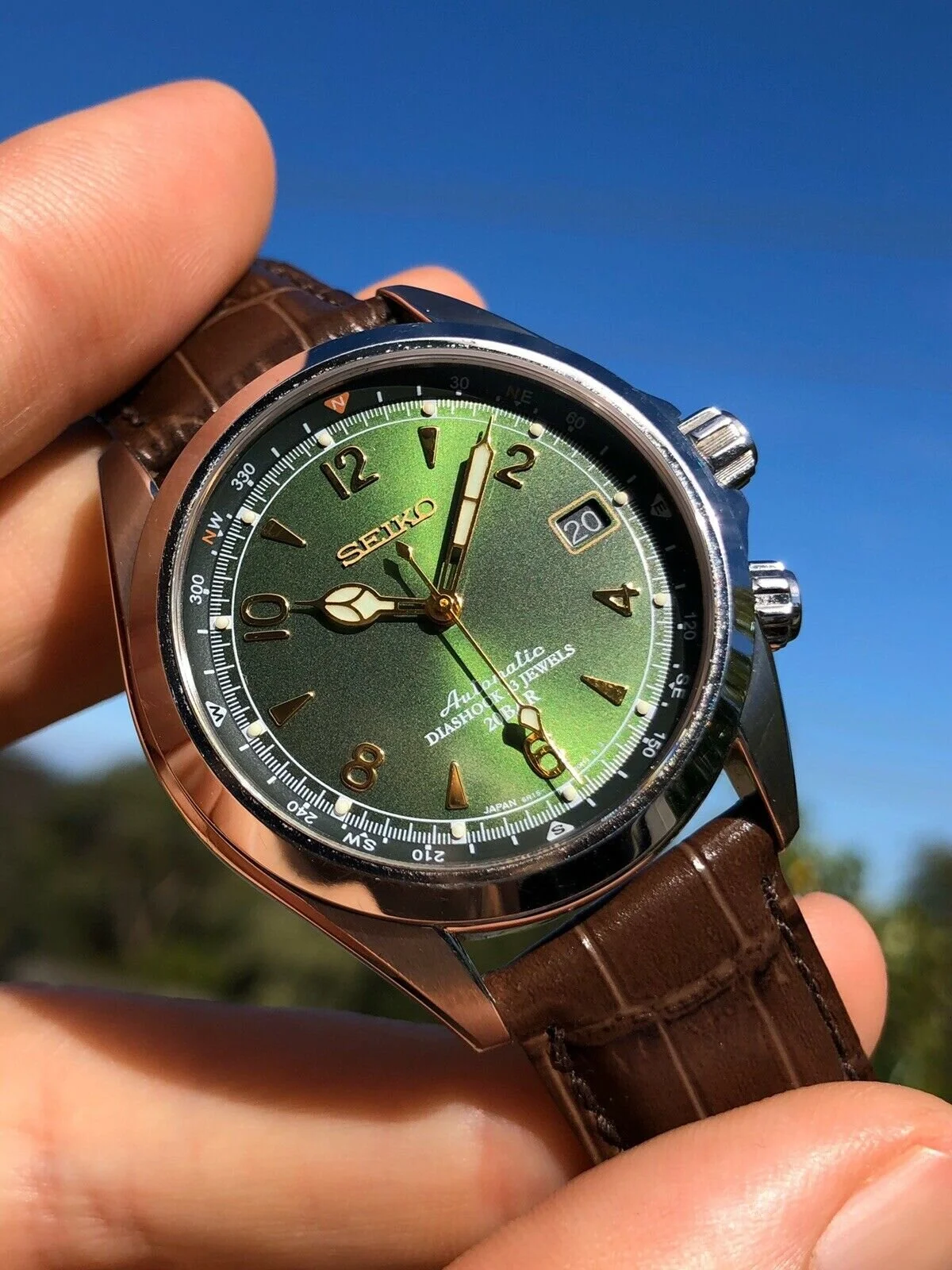 Seiko Alpinist Sarb017 Watch Vault