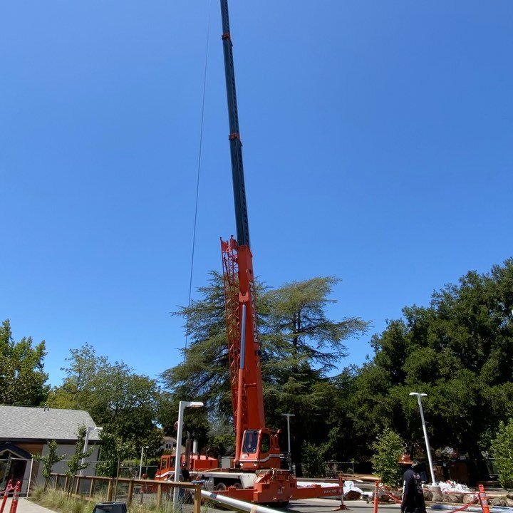 Lifting poles into place for new public art installation at the new Junior Museum and Zoo. The poles pivot in the frame and will sway slowly back and forth through the opening in the roof as people ride the bottom. 

Still much to do. Dampers, brakes