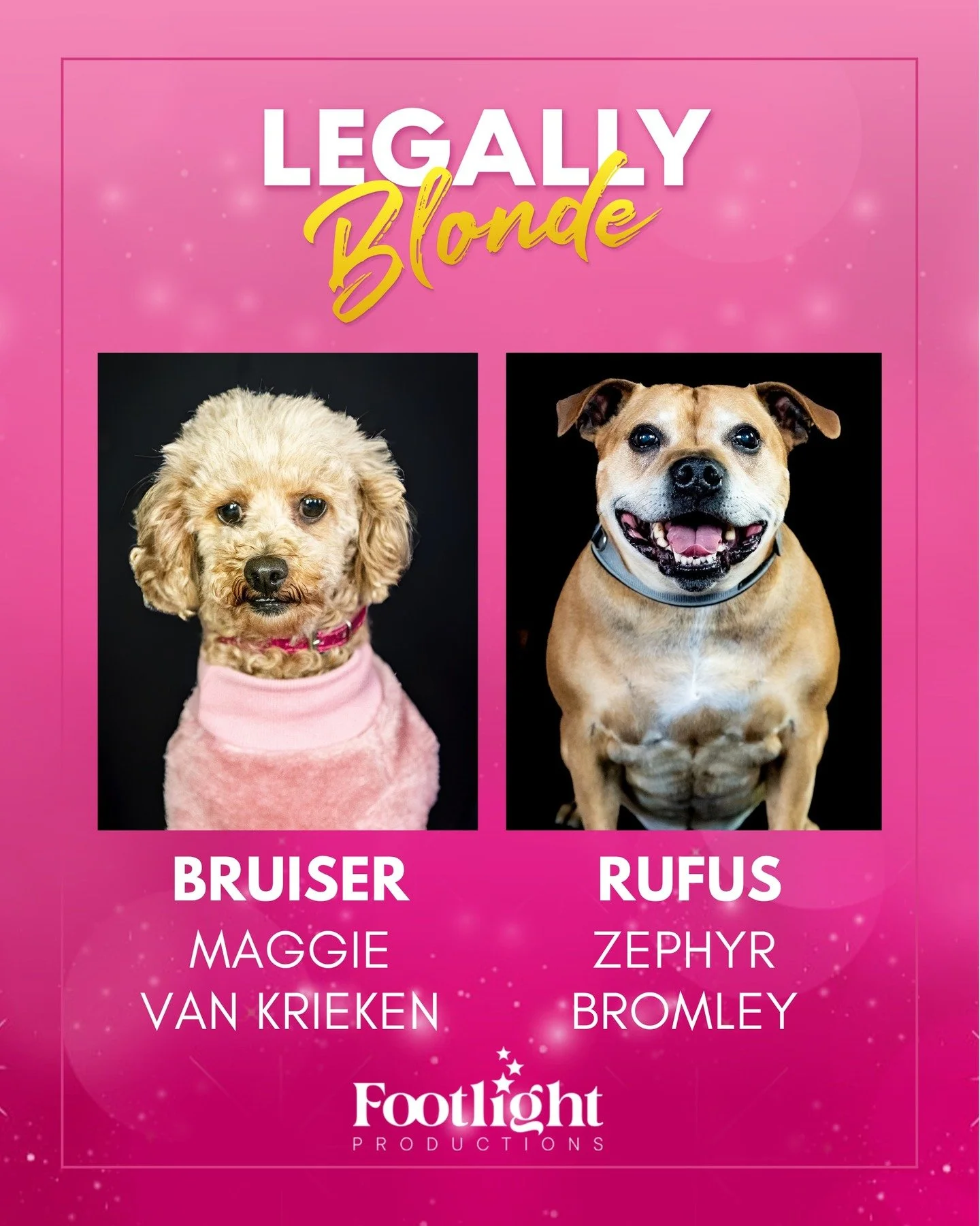 We're paws-itively delighted to introduce the newest members of our cast!

Maggie Van Krieken's human, Mel, has coordinated hair and make up for many of Footlight Productions' shows. During this time, Mel has successfully roped her human children int