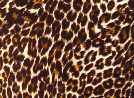 IMG_fabric_wildthing.jpg