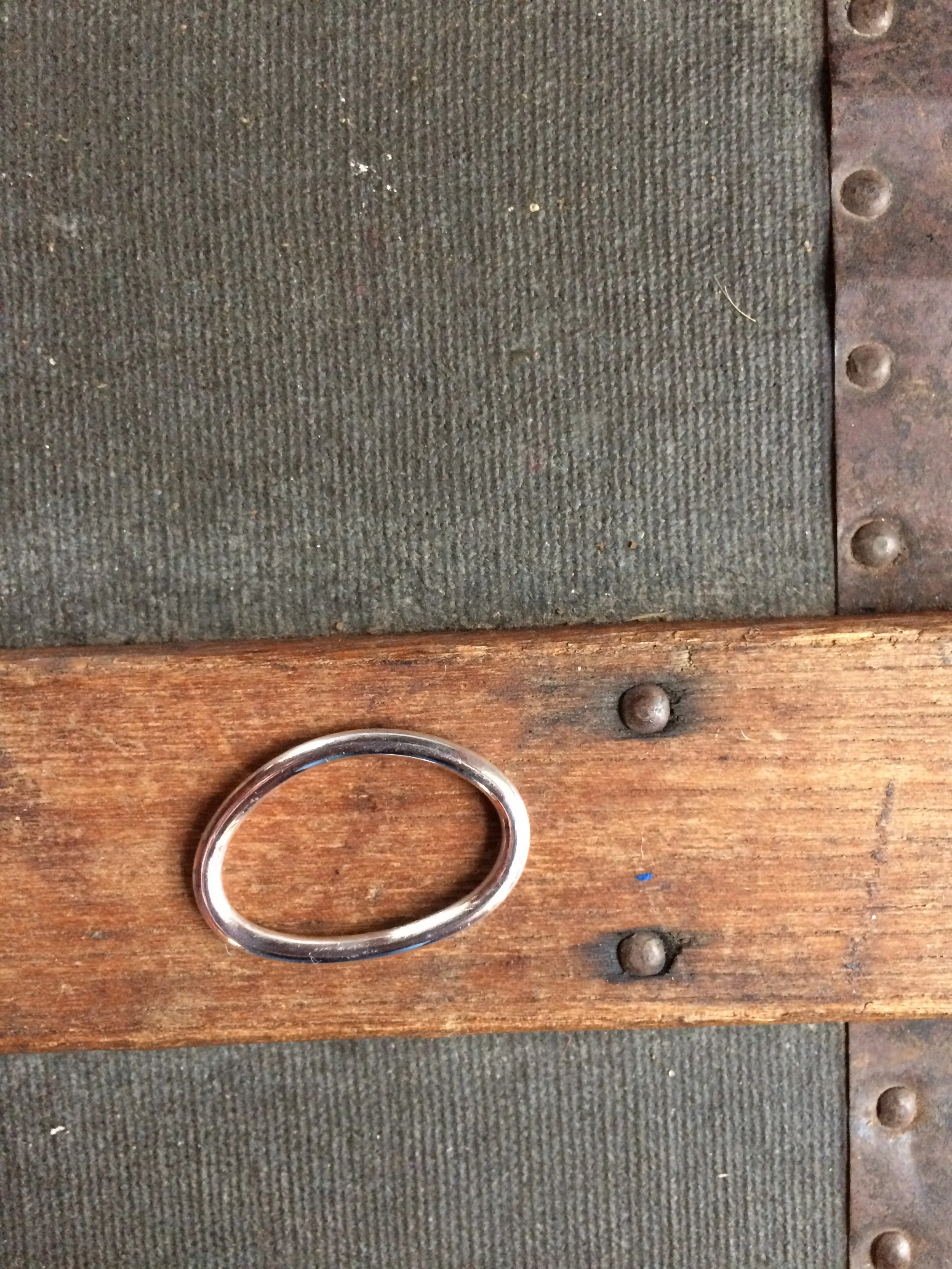 The Aningri Togetherness Ring 