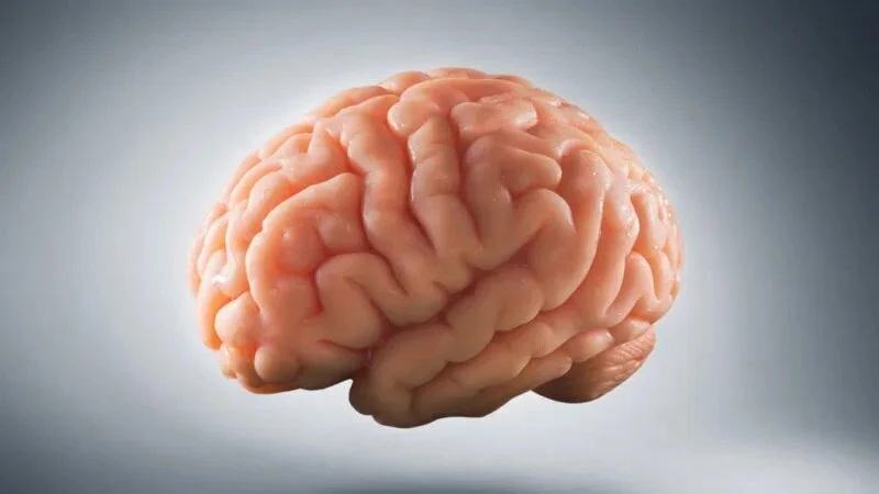 27 - Psychology