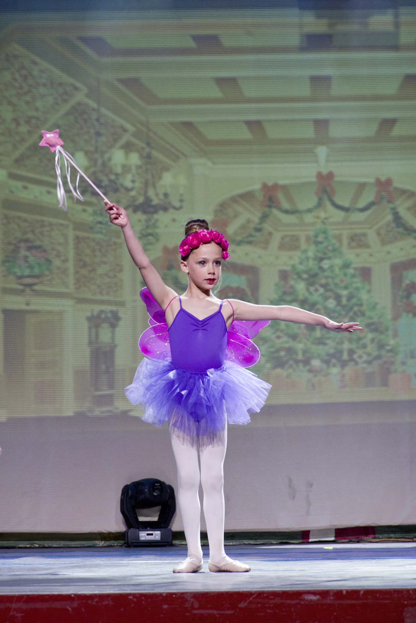 Nutcracker Fairies 0076.jpg