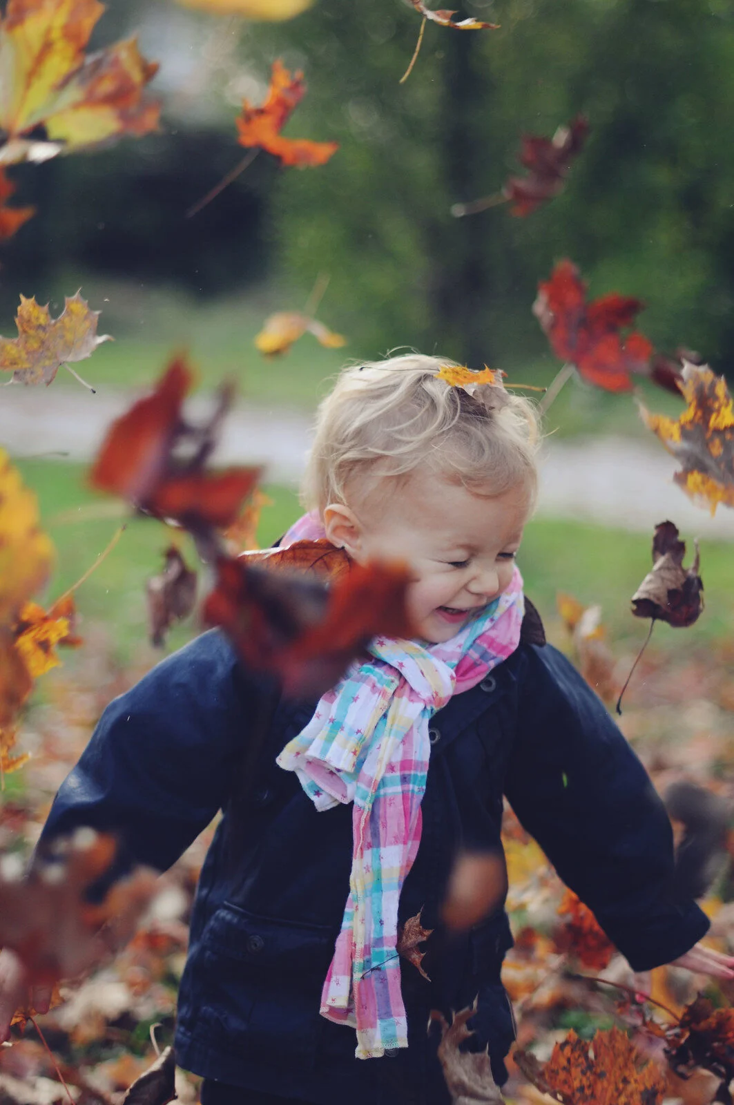Fall Leaves on Child.jpg