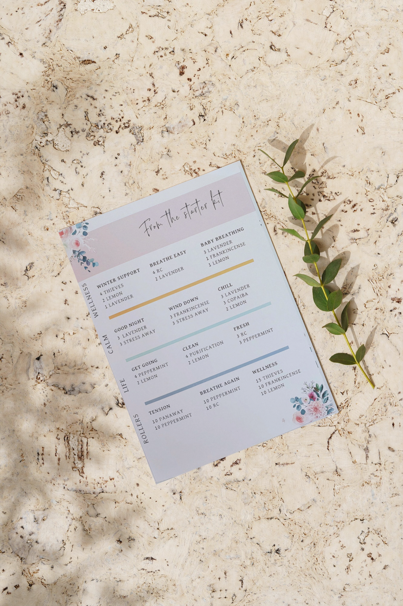 1CC657A6-1D1C-4D8D-A842-3720D546E4A9