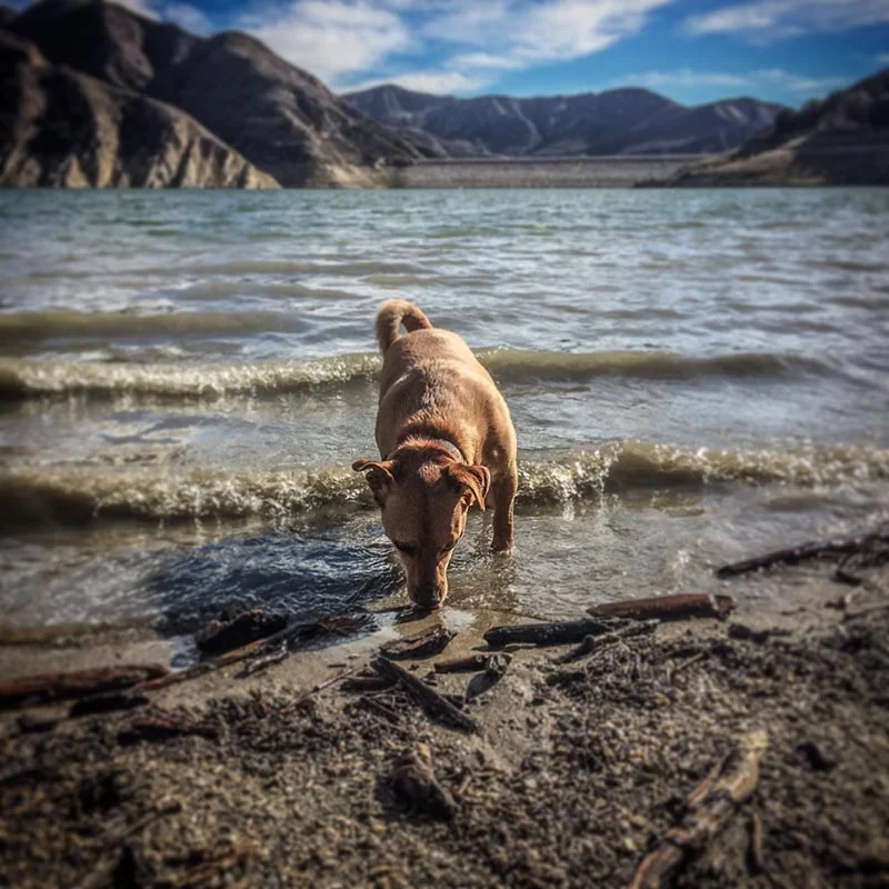 whiskey-lake-piru.jpg