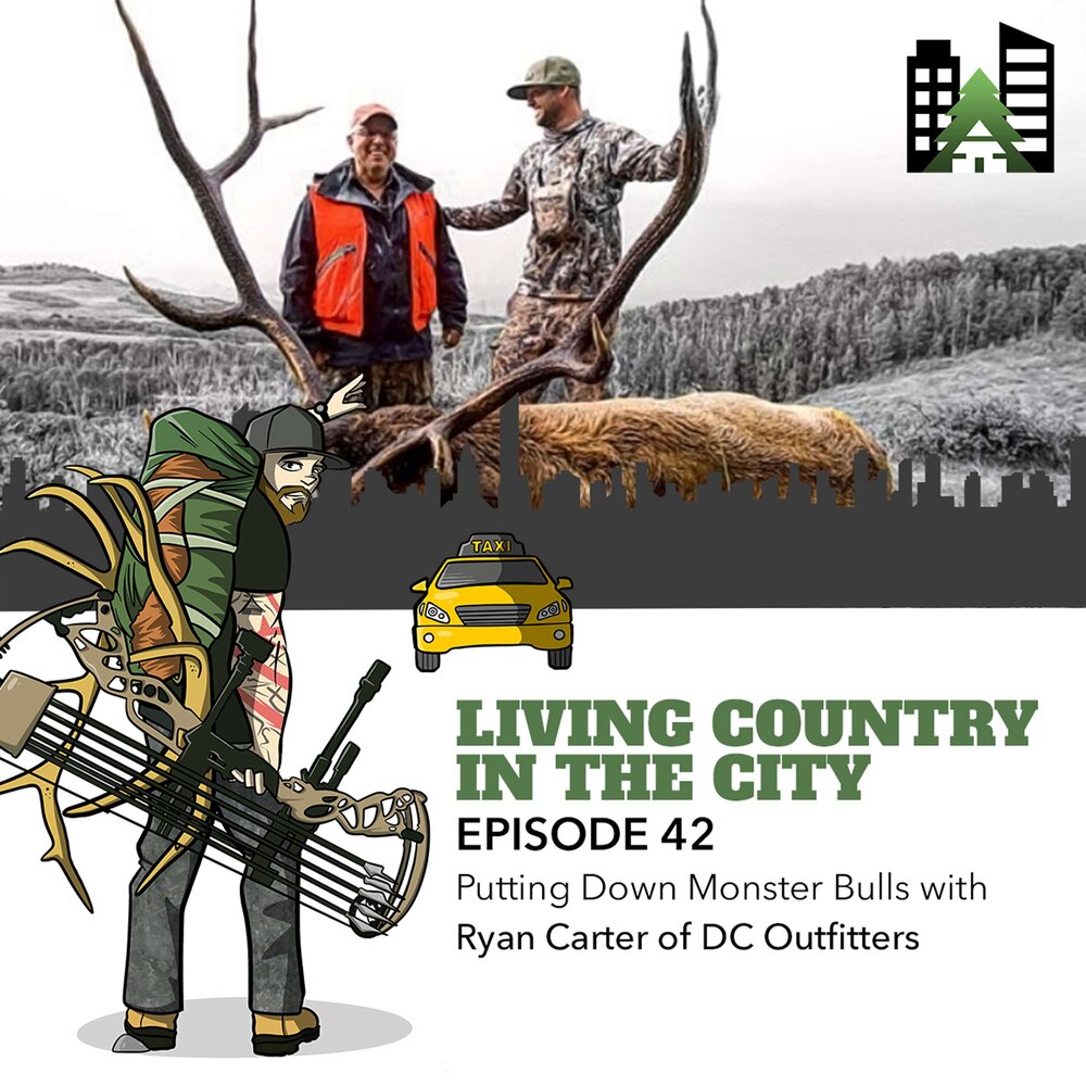 Ryan carter dc outfitters