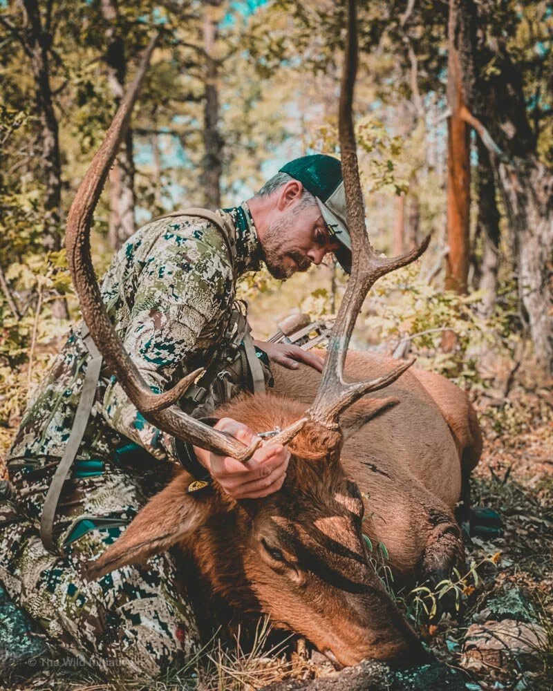 Is It Time To Cancel The Grip N Grin The Wild Initiative