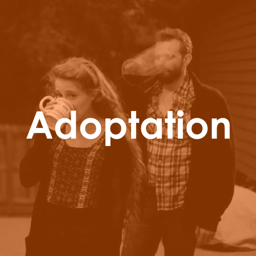 Adoptation web 1.png
