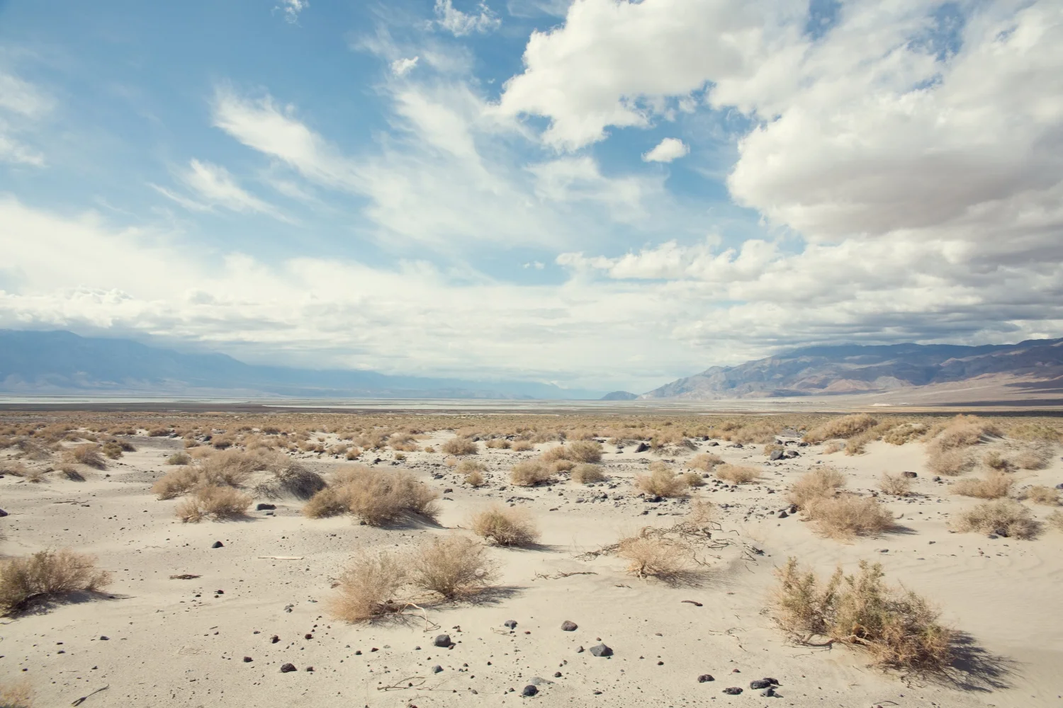 Desert Roads