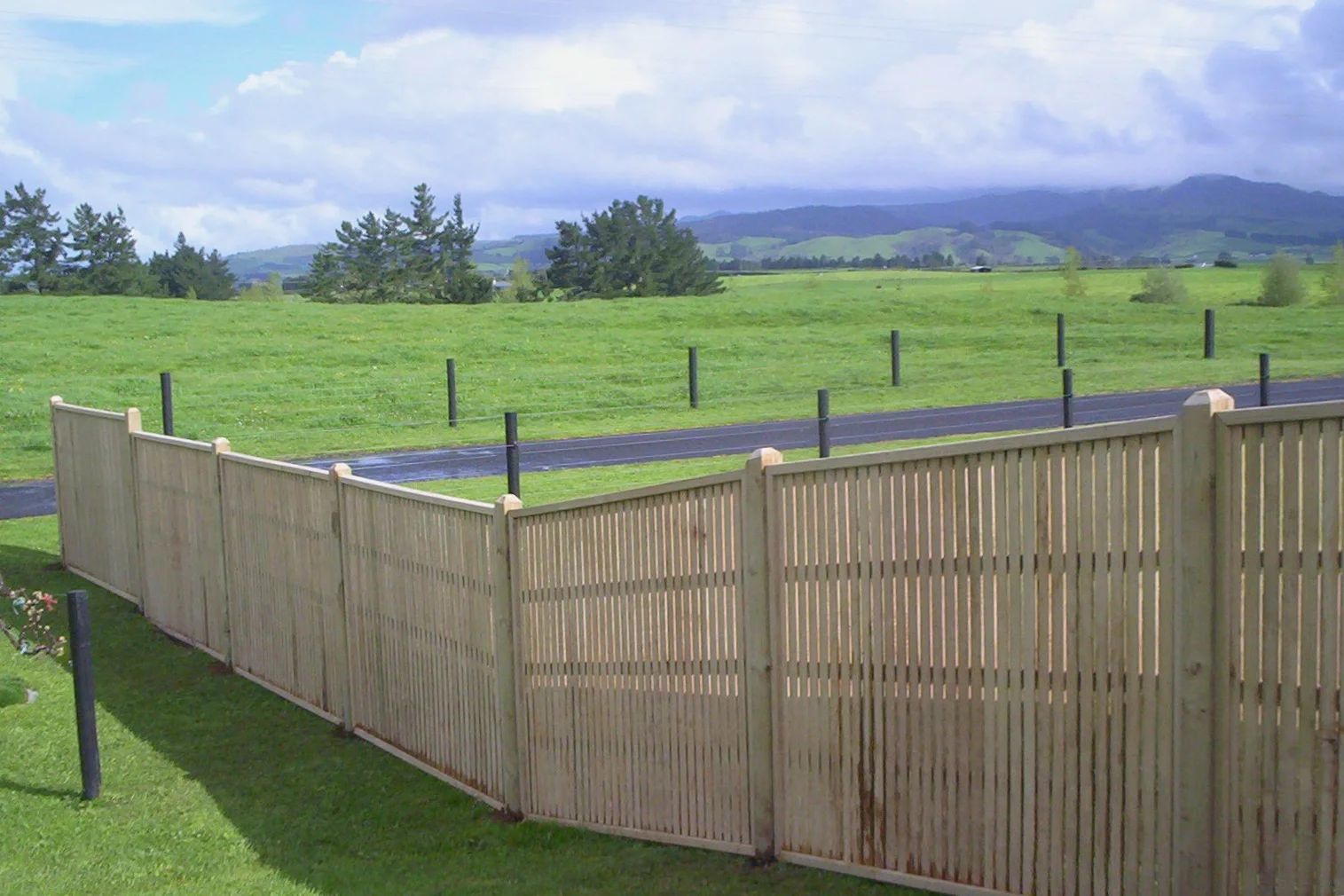 Vertical Oriental 1.jpg