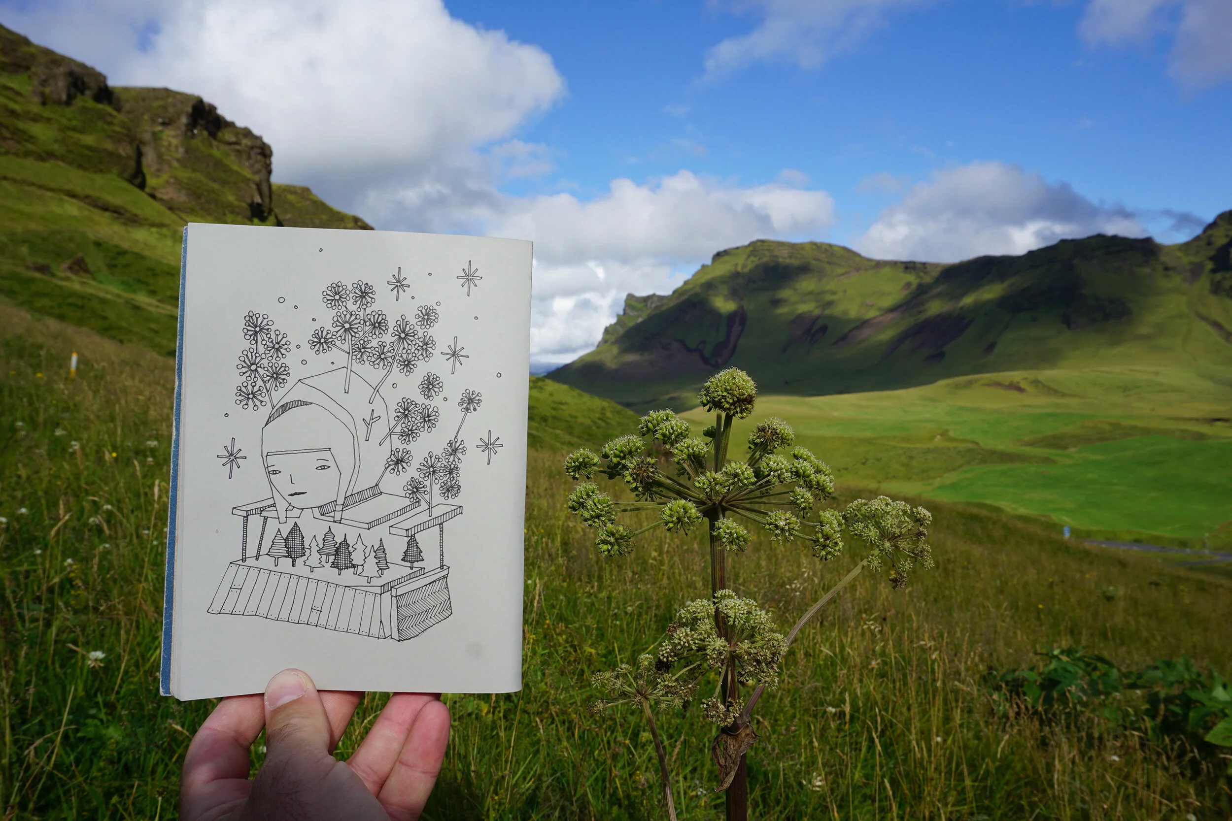 2015 Kyle Hughes-Odgers Iceland Vik.jpg