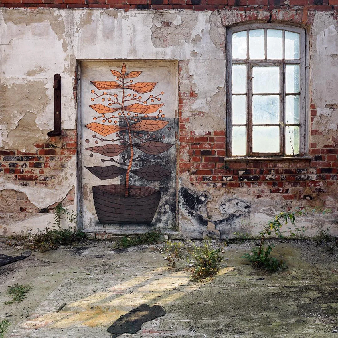 2015 Kyle Hughes-Odgers Sonnewalde.jpg