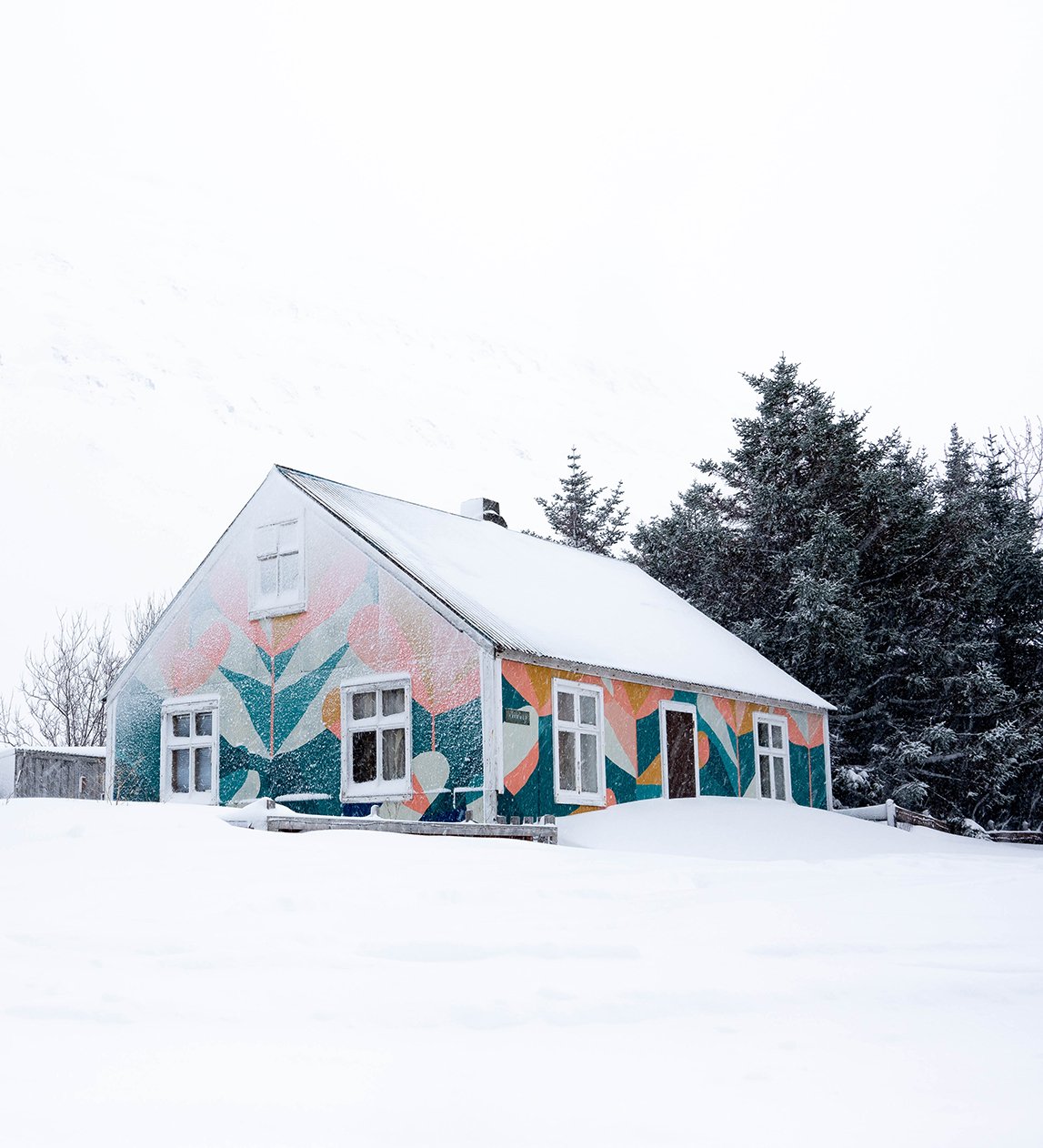 A HOUSE IN THE FOREST