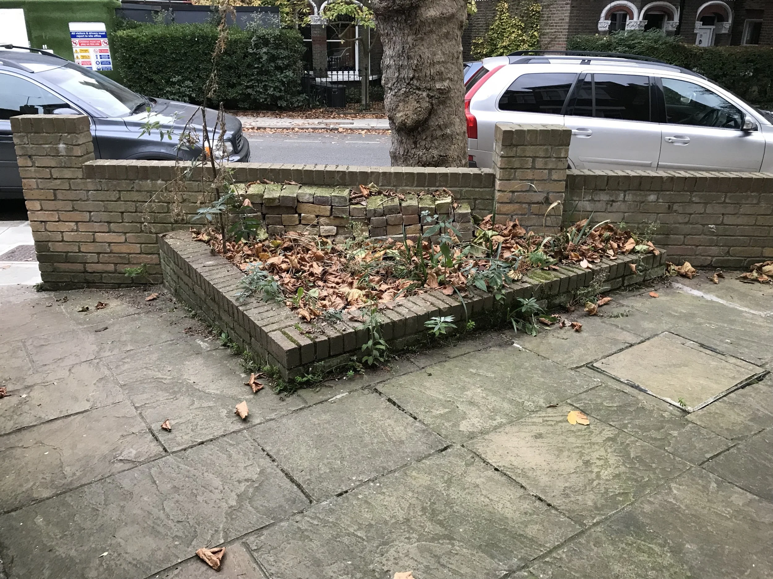 Before: Someone’s idea of an acceptable flowerbed