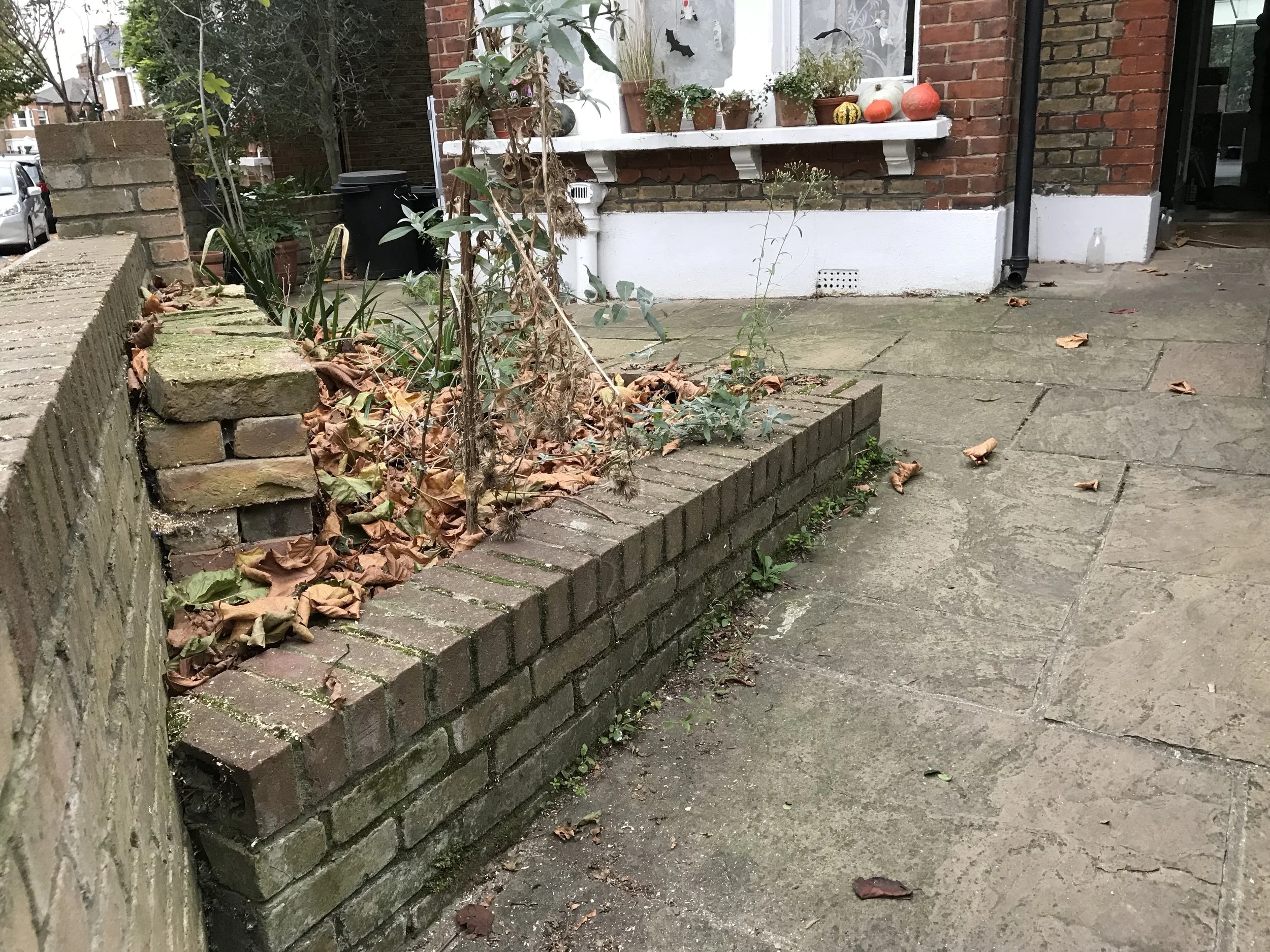 Closeup of someone’s idea of an acceptable flowerbed