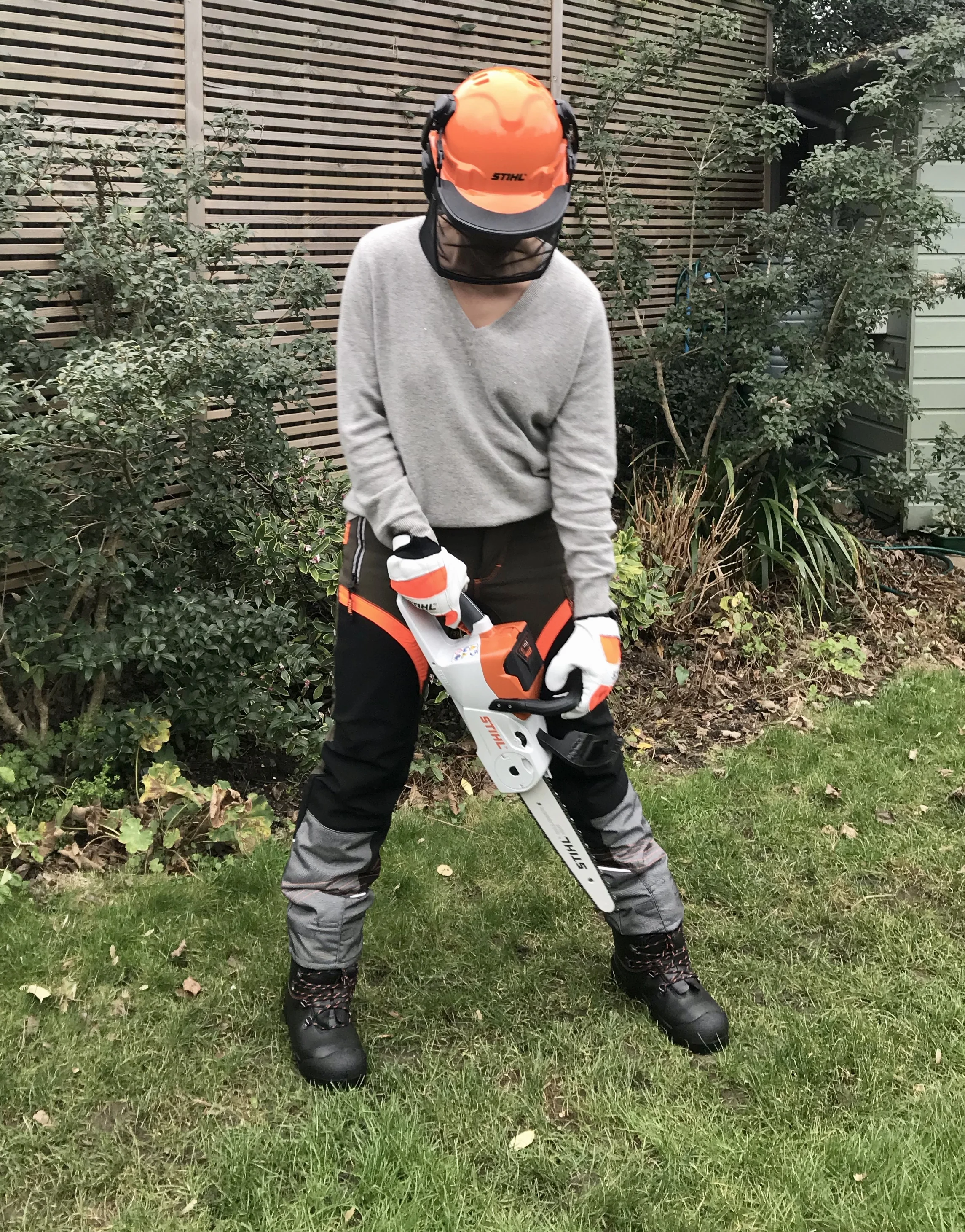 stihl electric tree trimmer