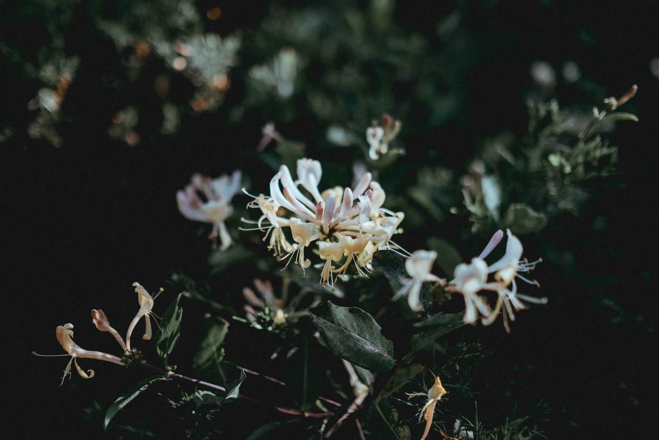 Photo by Annie Spratt on Unsplash