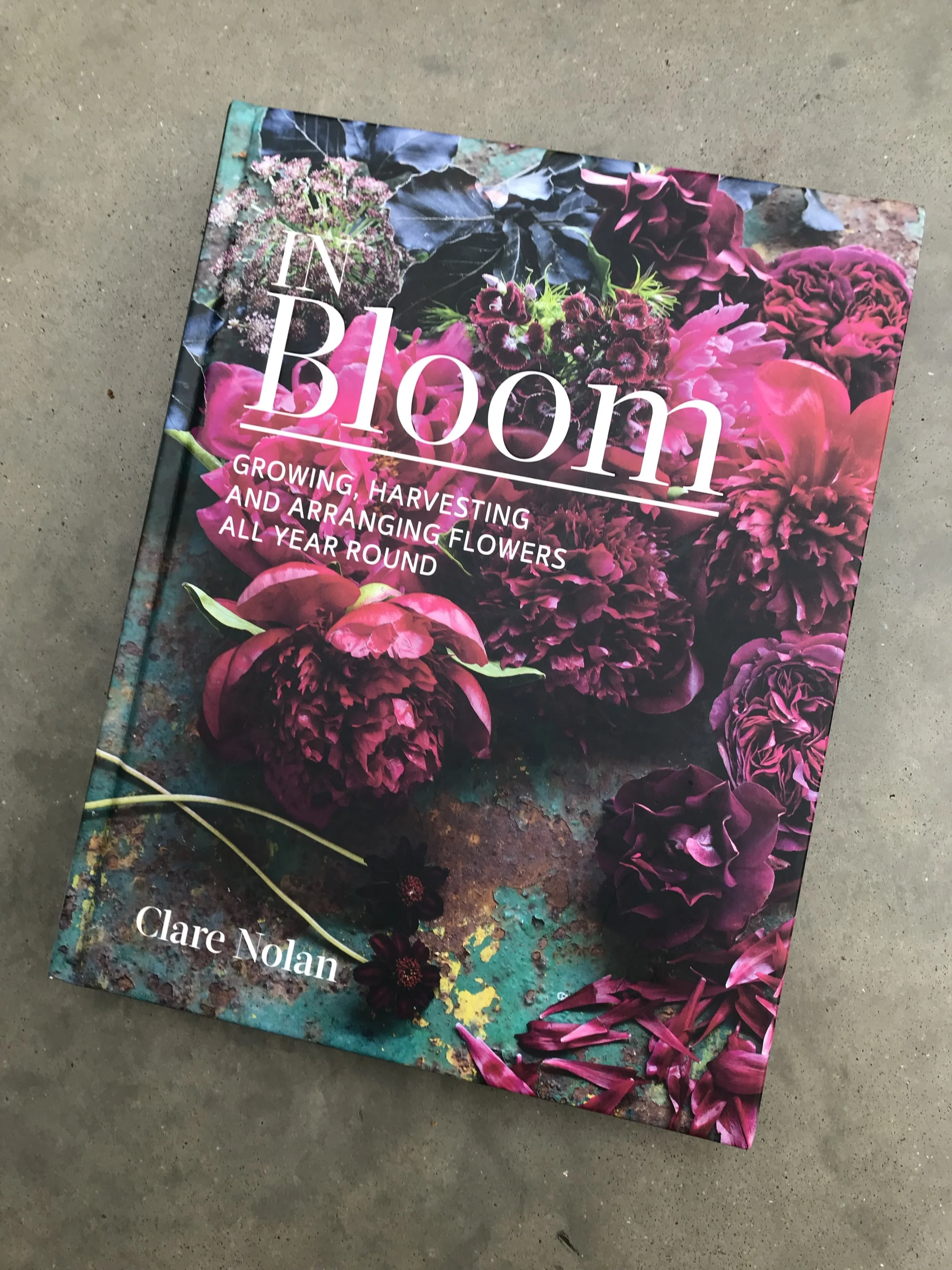 Book review In Bloom by Clare Nolan — Laetitia Maklouf