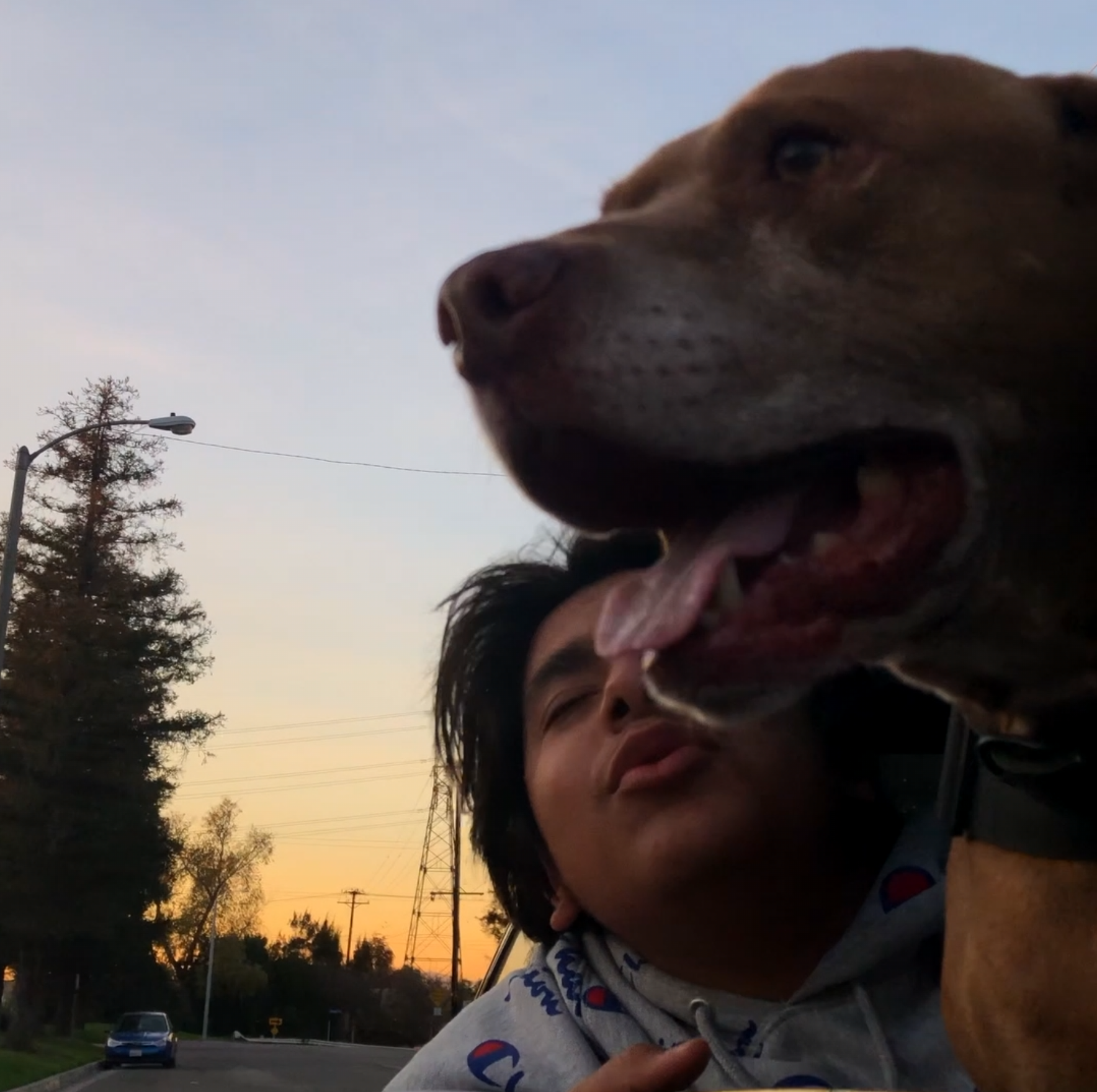 Screen Shot 2020-07-02 at 10.52.35 PM.png