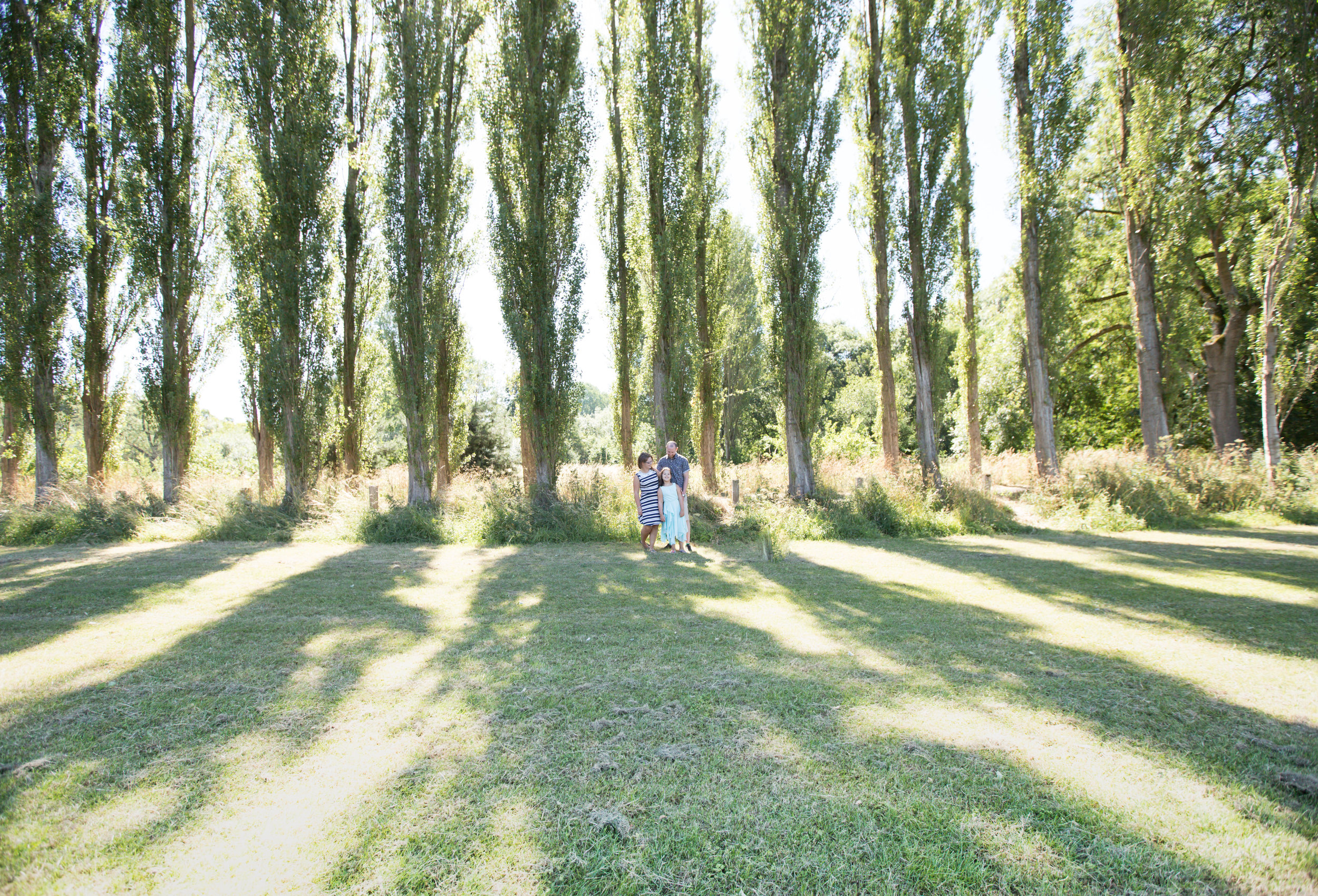 Light peaking through the trees at sunset during pre wedding shoot at Fletcher Moss Botanical Gardens