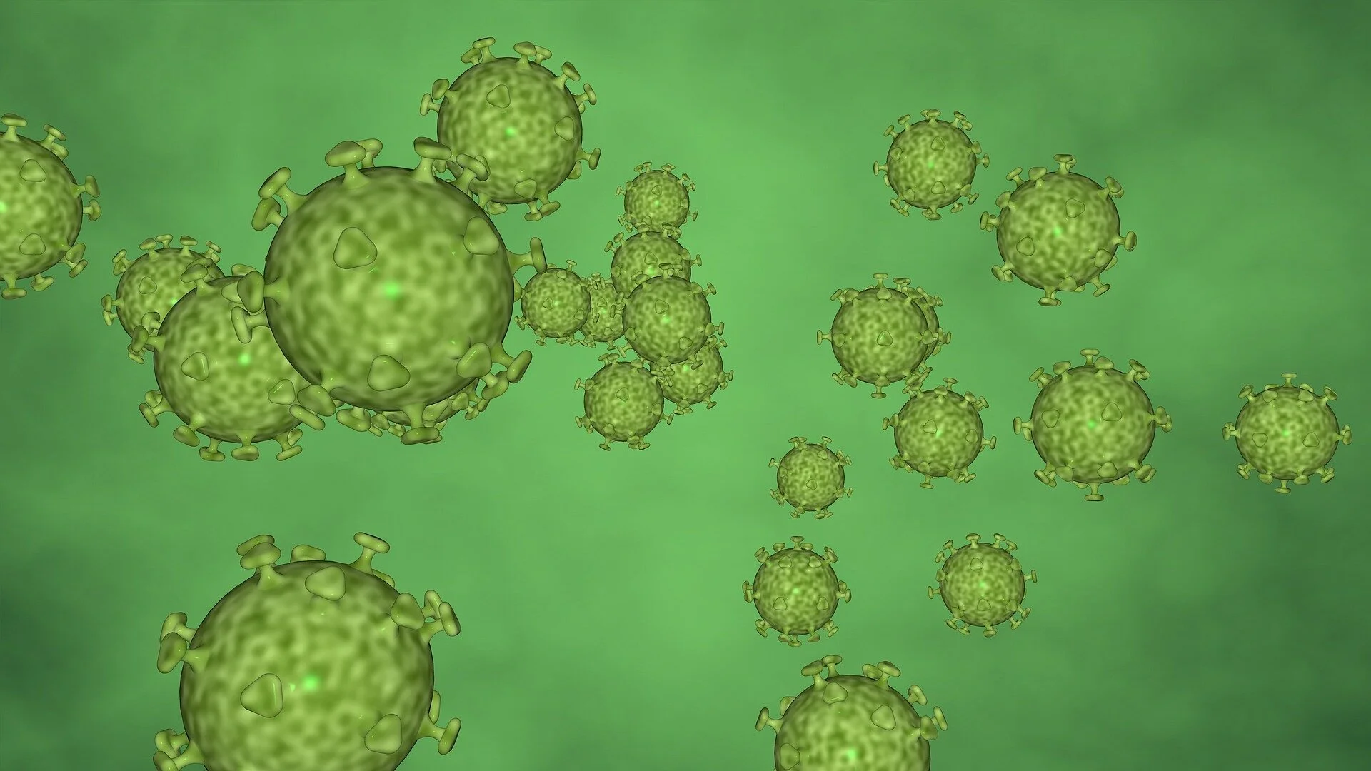 Update 17th March 2:00 pm