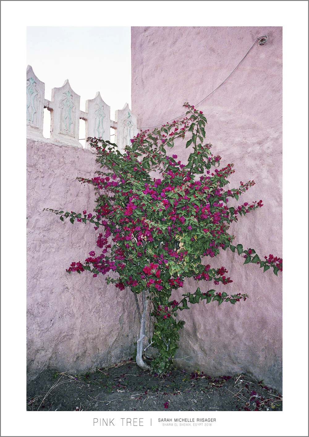 Small_03_Pink Tree.jpg
