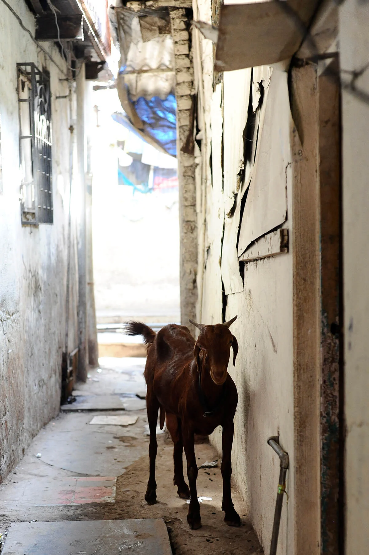 Mumbai0529.jpg