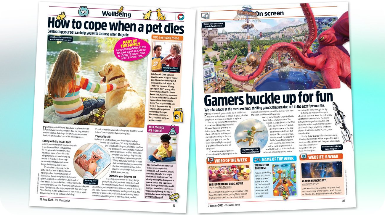 Wellbeing &amp; Gaming Features