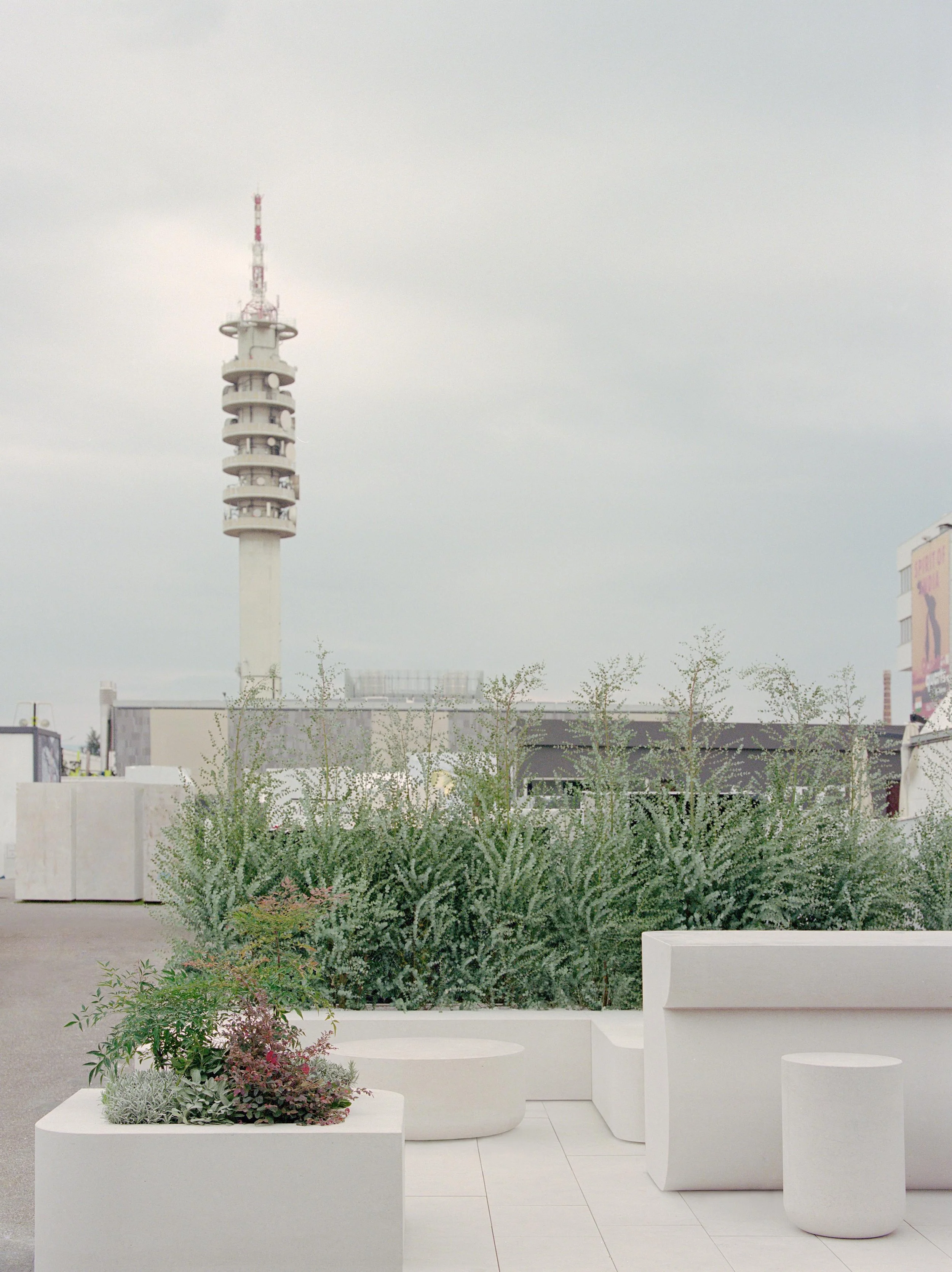  San Michele Bar, Verona. Photography: Marcello Mariana 